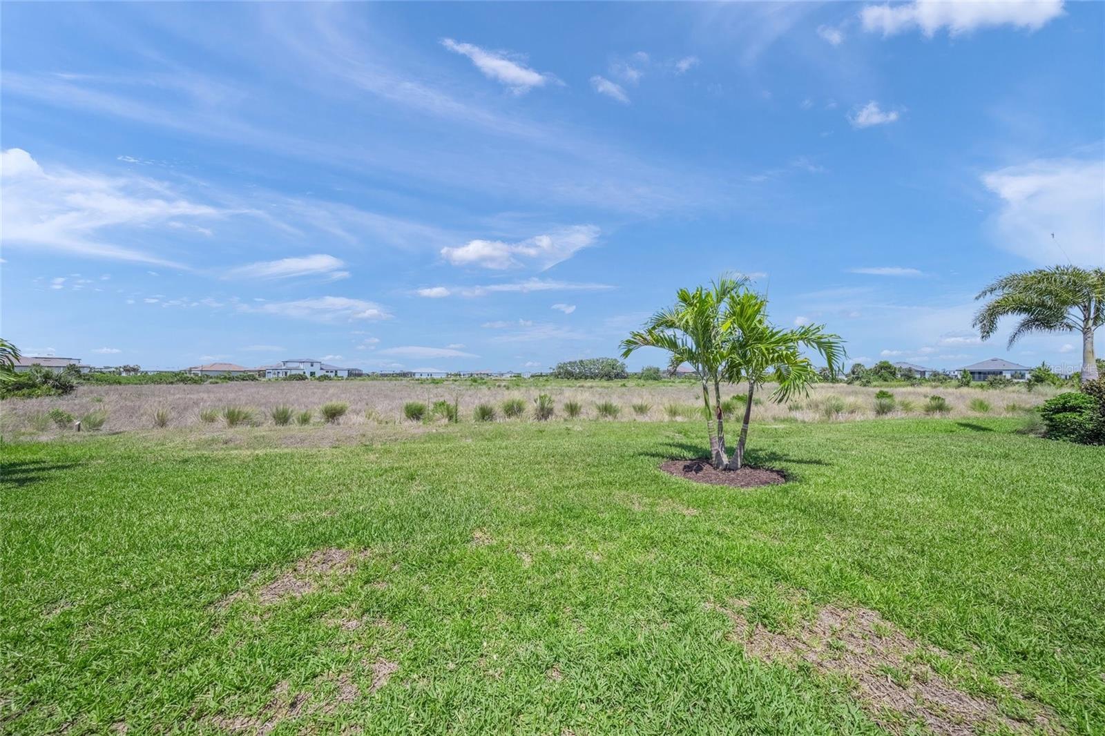 Image 33 of 80 For 6244 Talon Preserve Drive