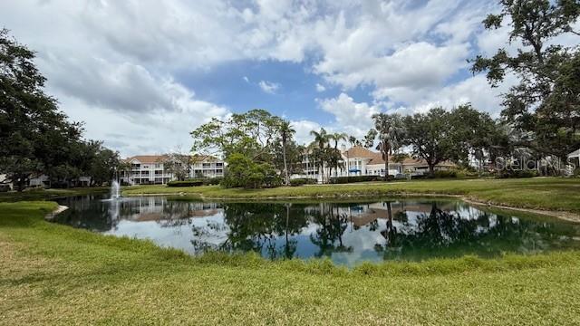 Image 9 of 21 For 850 Tamiami Trail 335