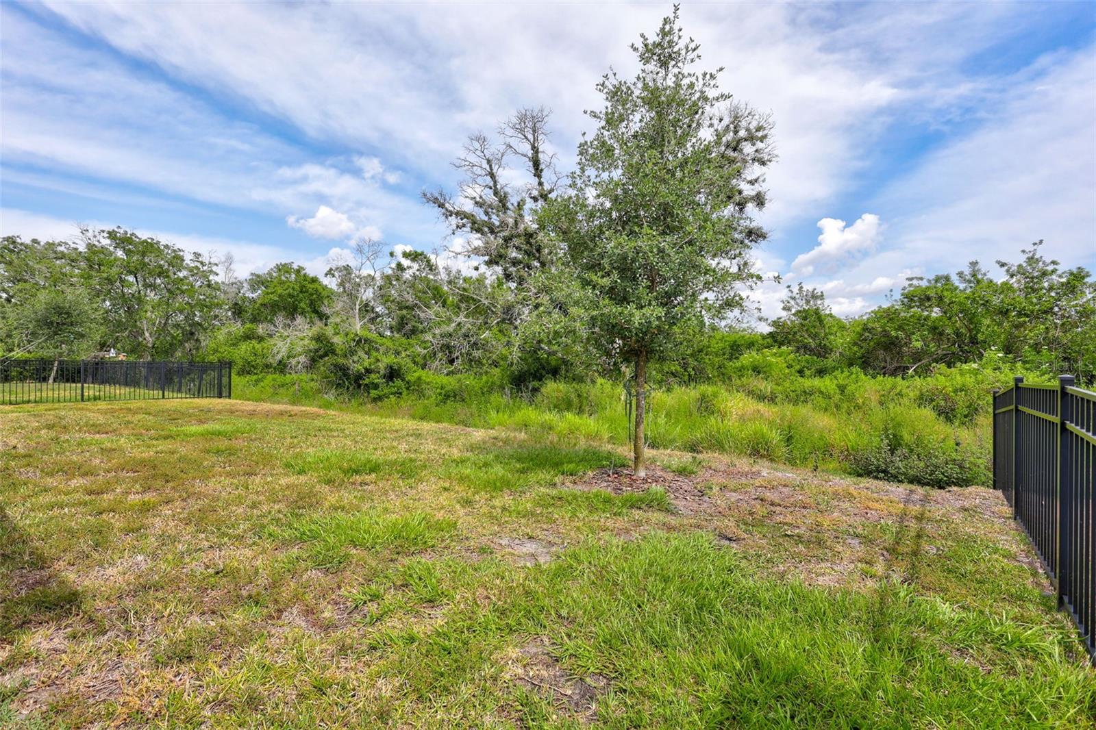 Image 43 of 72 For 17032 Harvest Moon Way