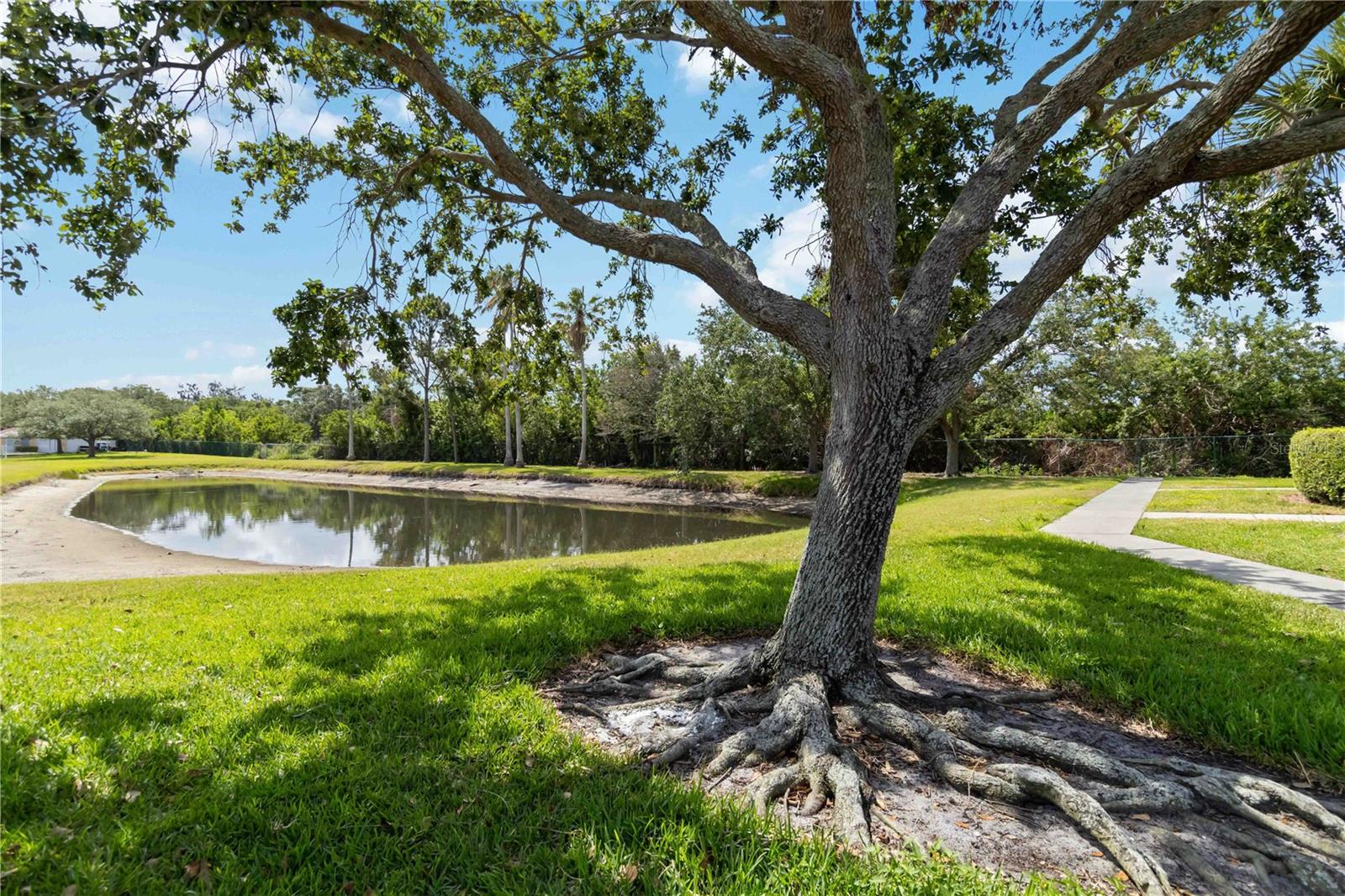 Image 27 of 34 For 1010 Villagio Circle 202