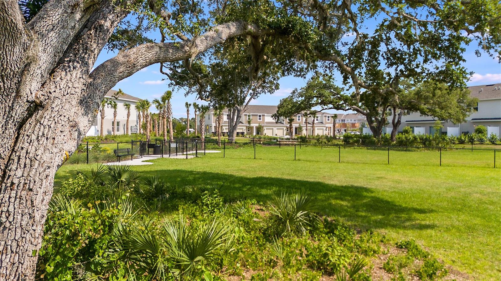 Image 39 of 43 For 15156 Cuzcorro Court