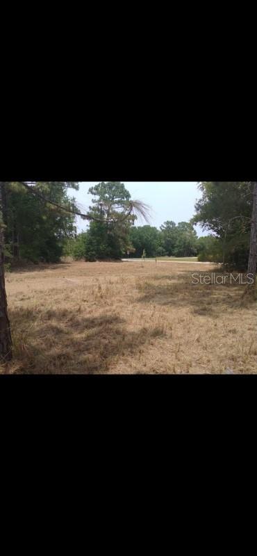 Image 5 of 5 For 29 Pine Trace Loop