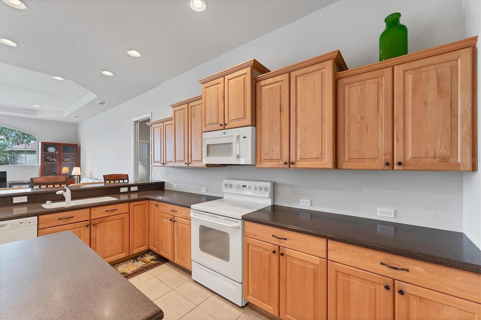 Image 20 of 83 For 1311 Tuscany Boulevard
