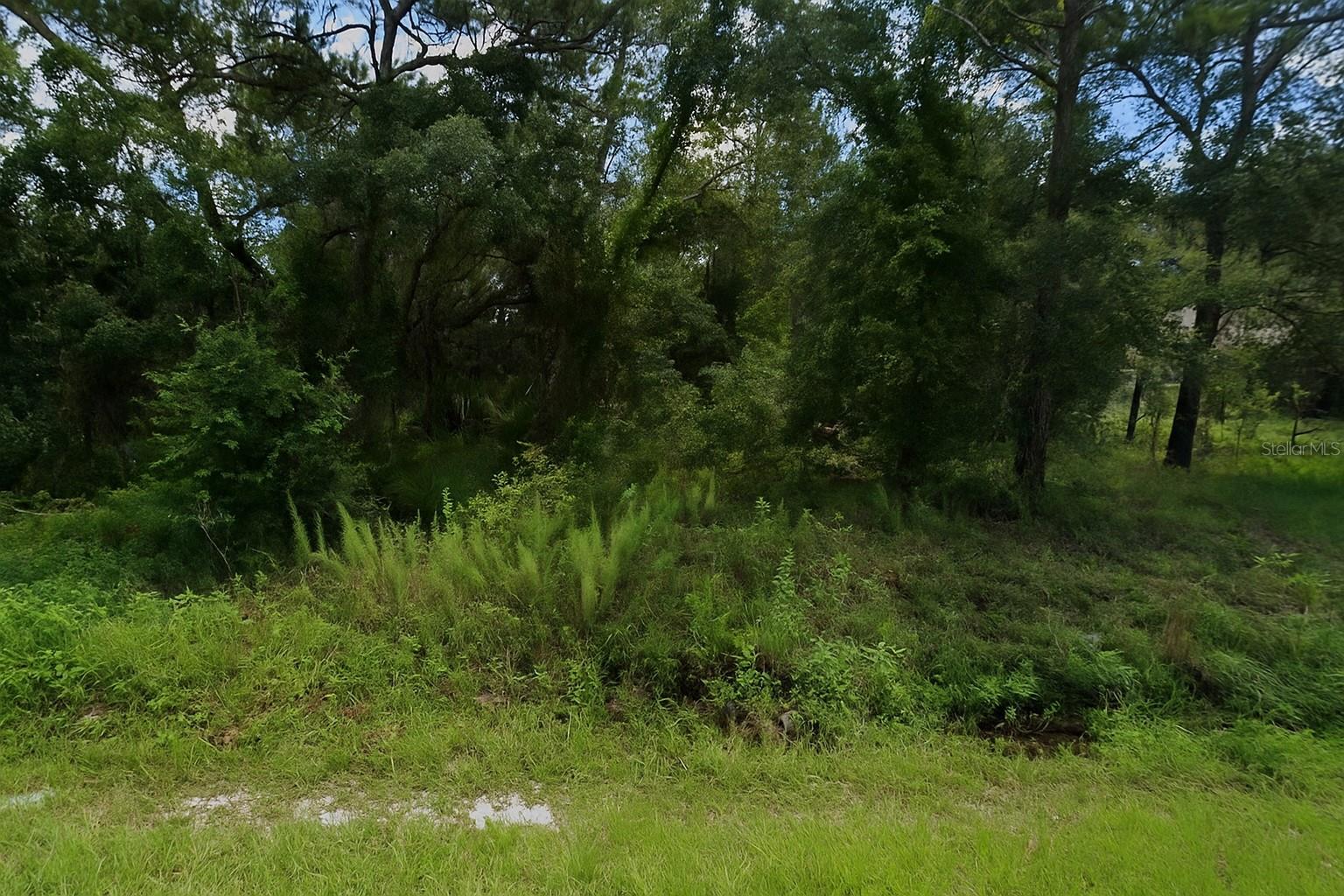 Listing Details for 2851 Landover Boulevard, Spring Hill, FL 34608