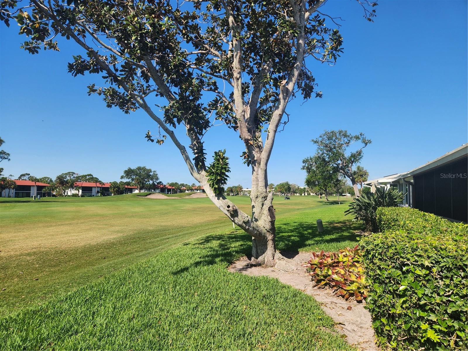 Image 3 of 6 For 3411 Avenida Madera  B