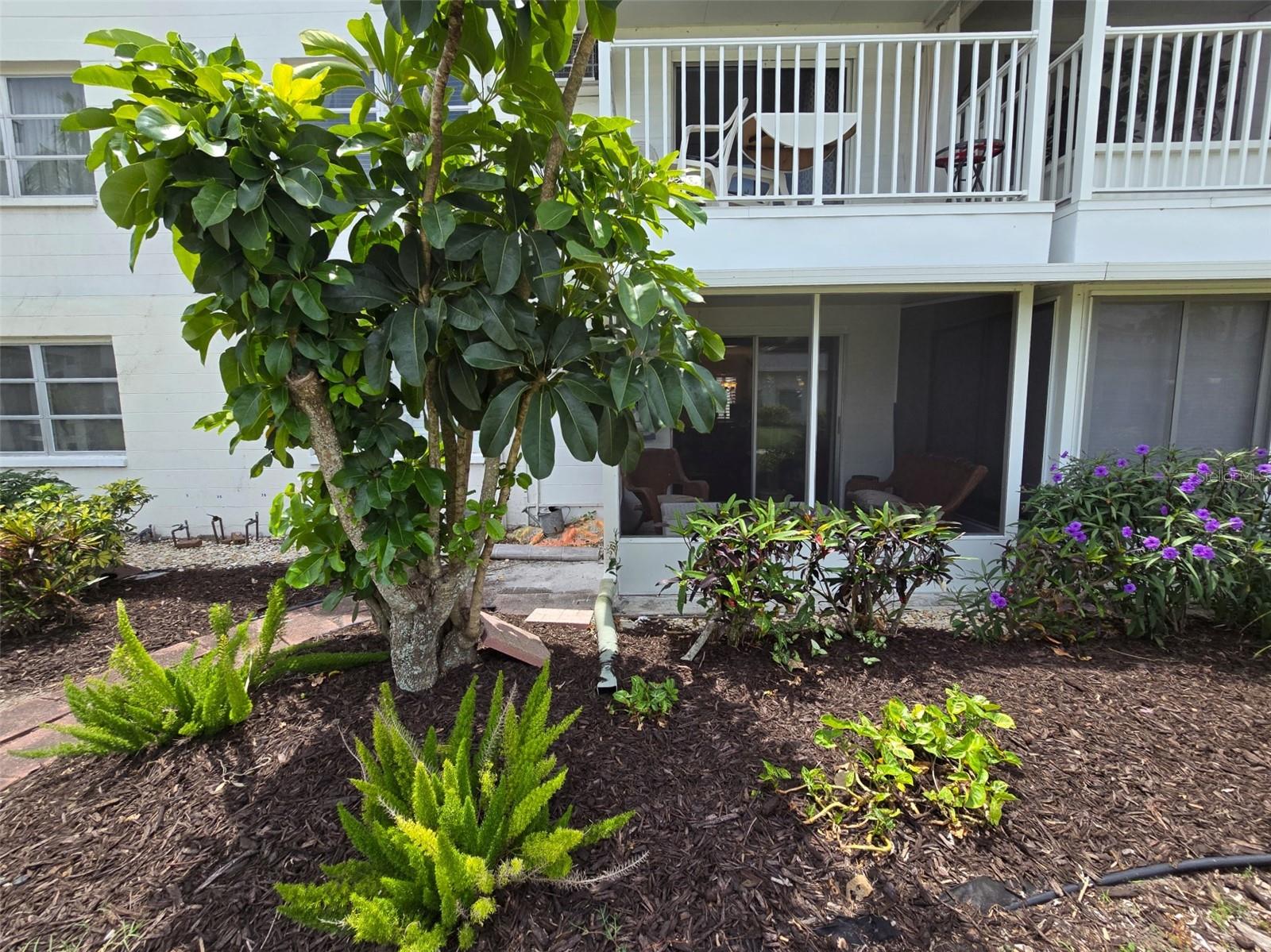 Details for 2207 Sunset Drive E5, BRADENTON, FL 34207