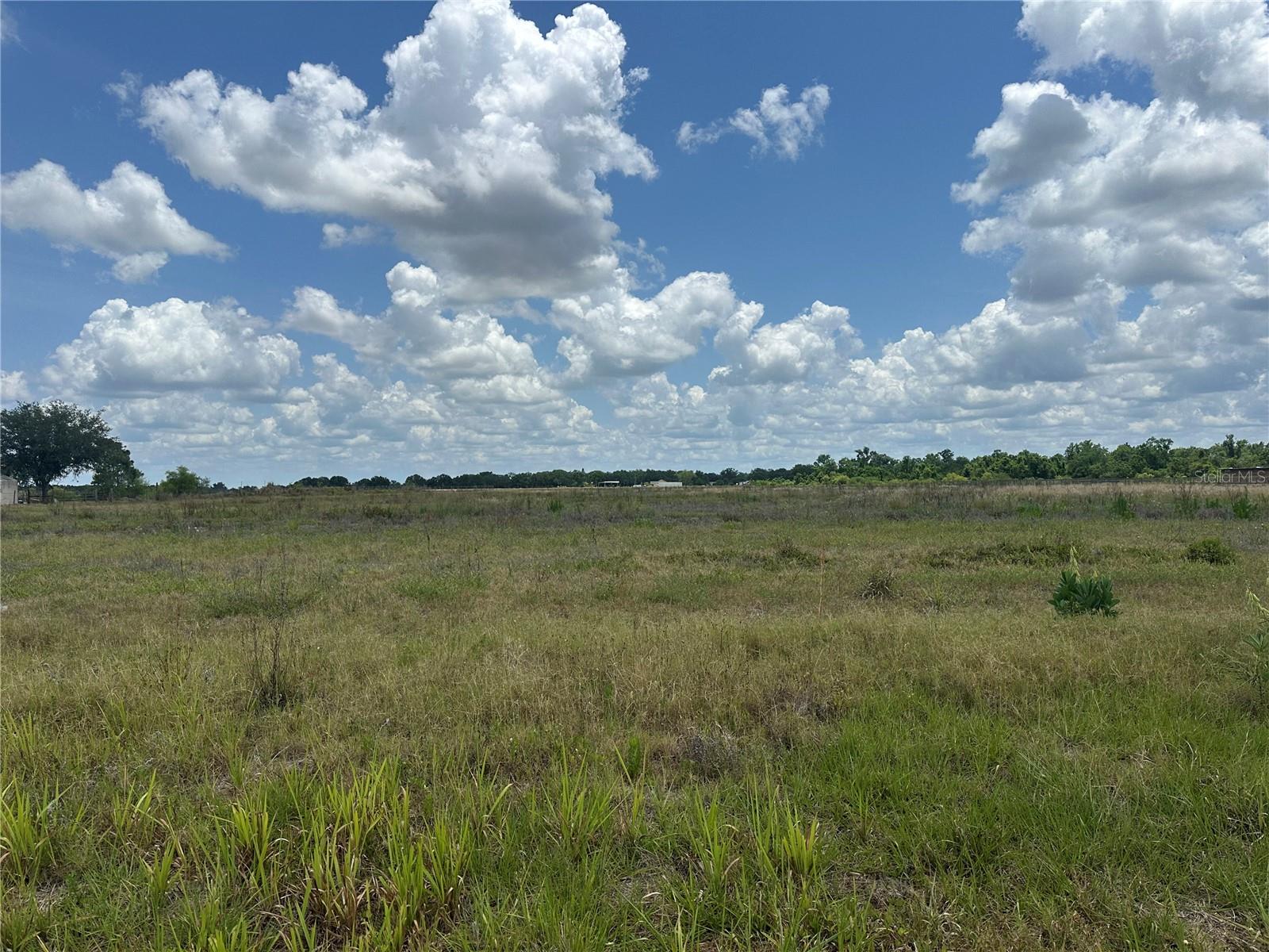 Details for  Polk Road , WAUCHULA, FL 33873