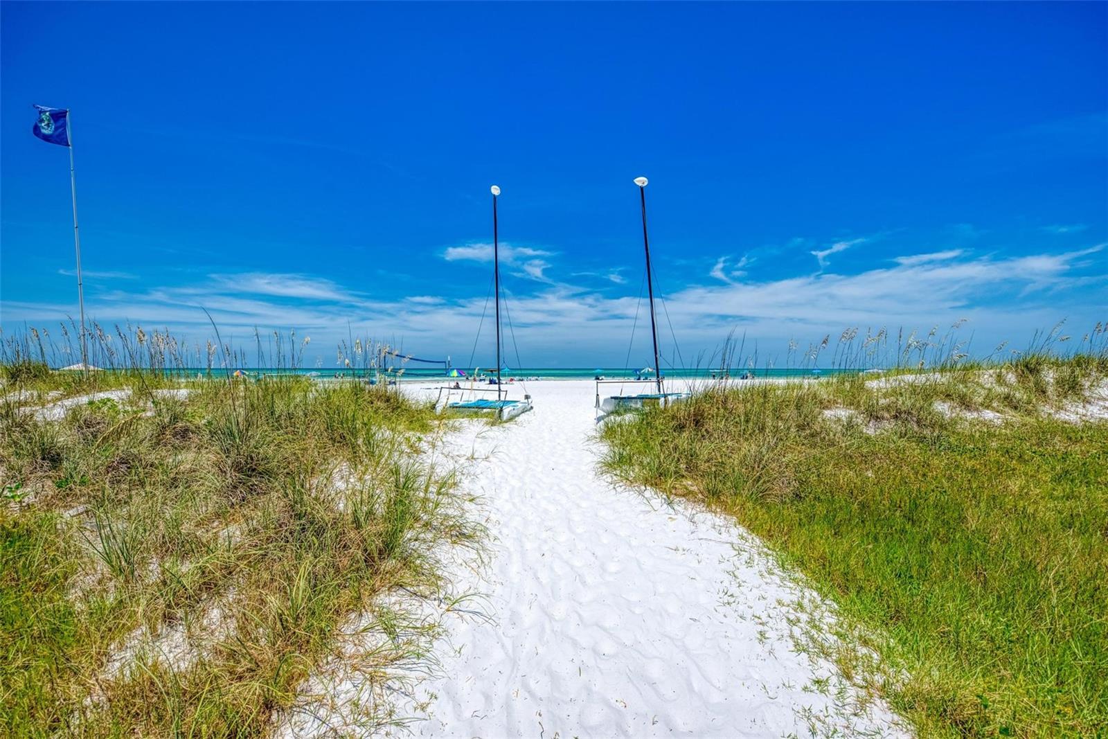 Image 15 of 63 For Ocean Boulevard