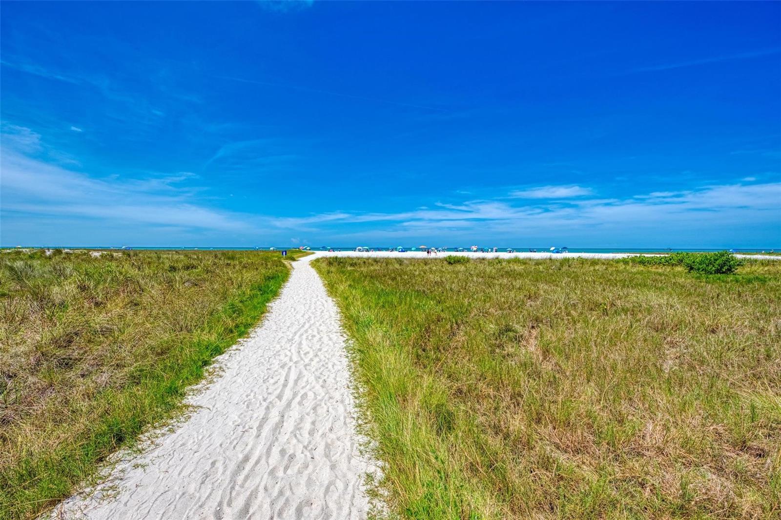 Image 33 of 63 For Ocean Boulevard
