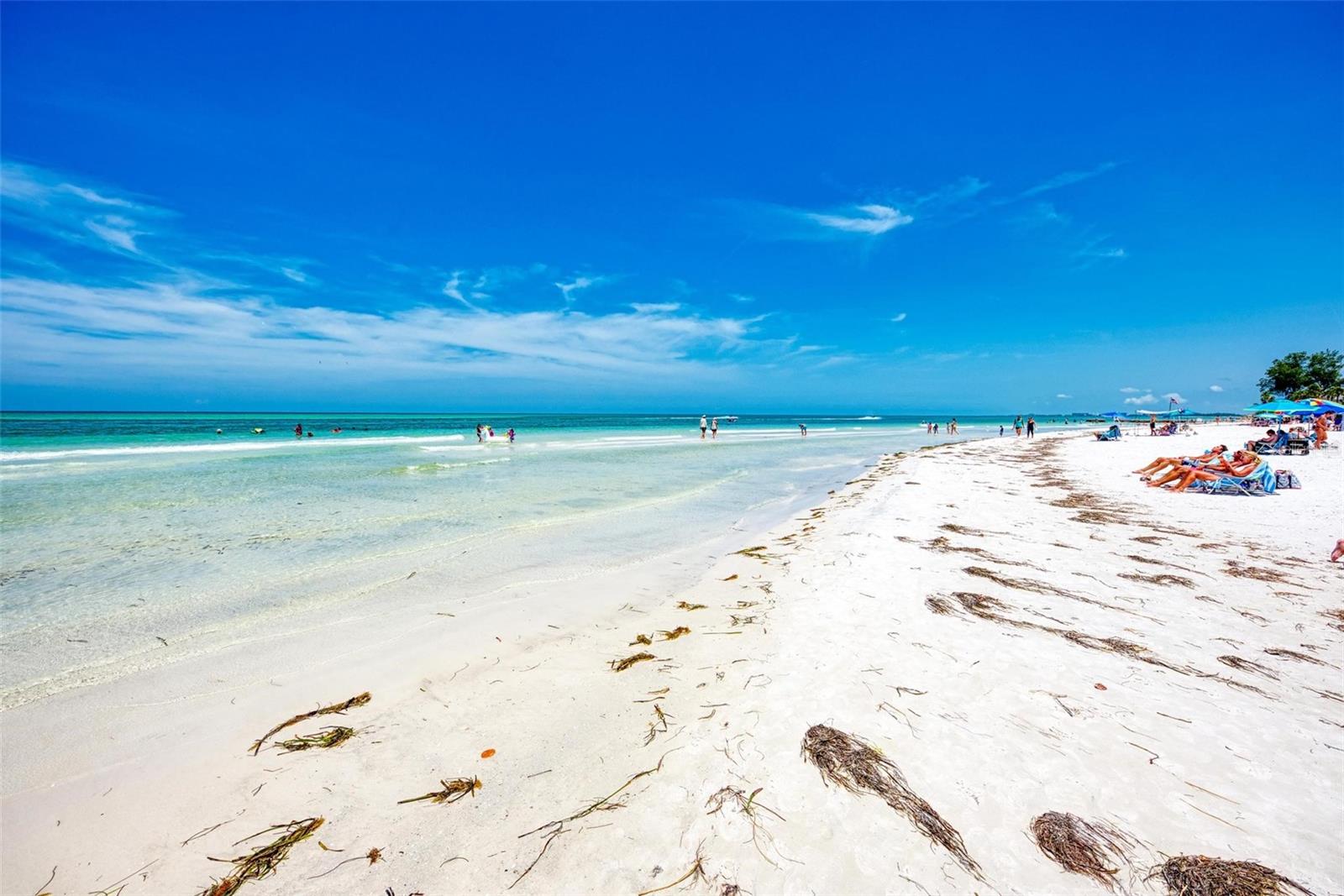 Image 36 of 63 For Ocean Boulevard