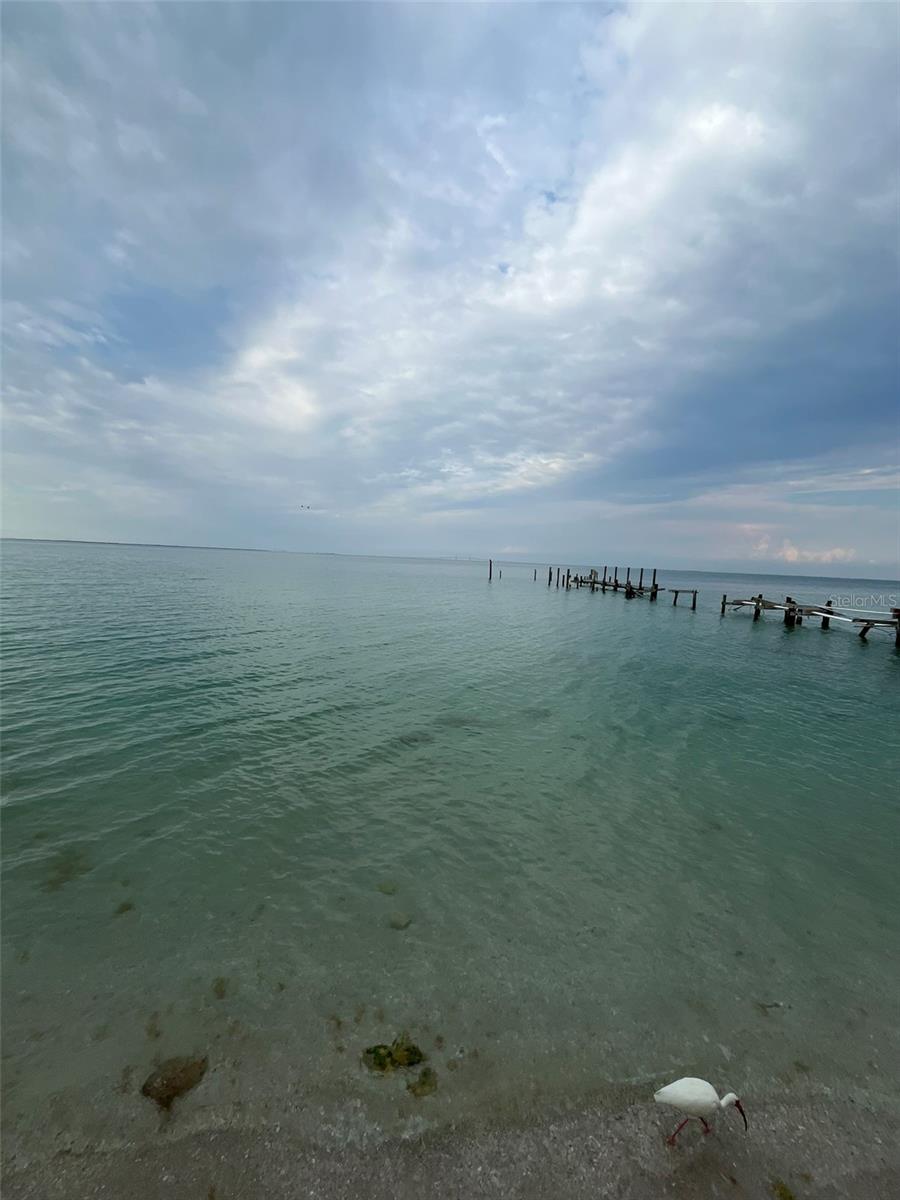 Image 10 of 17 For 873 Shore Drive