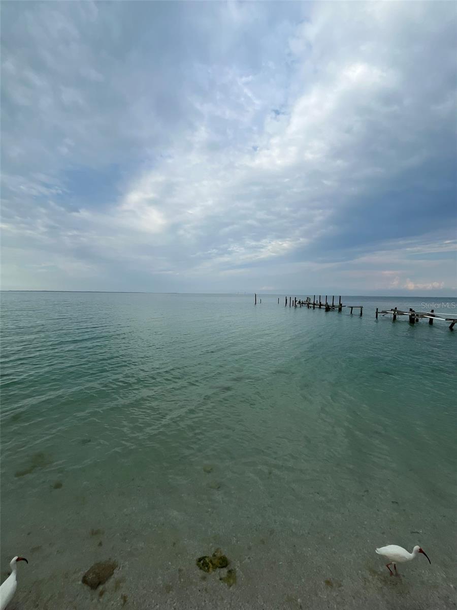 Image 8 of 17 For 873 Shore Drive