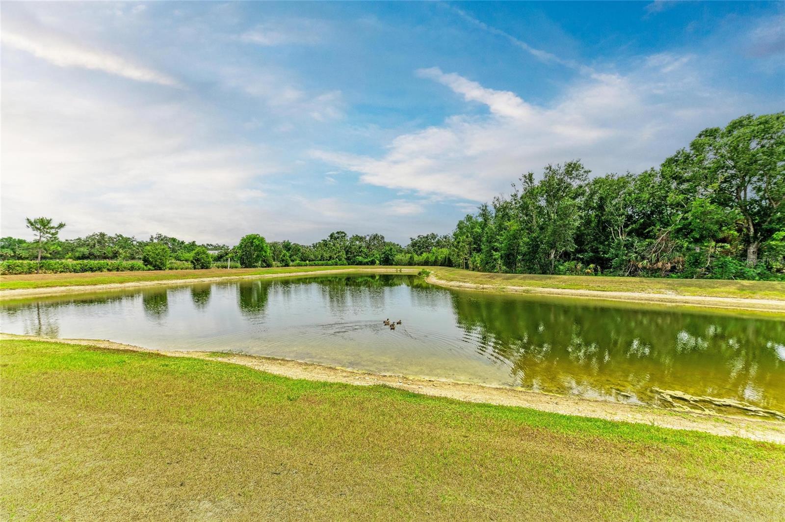 Image 38 of 43 For 6094 Amberly Drive