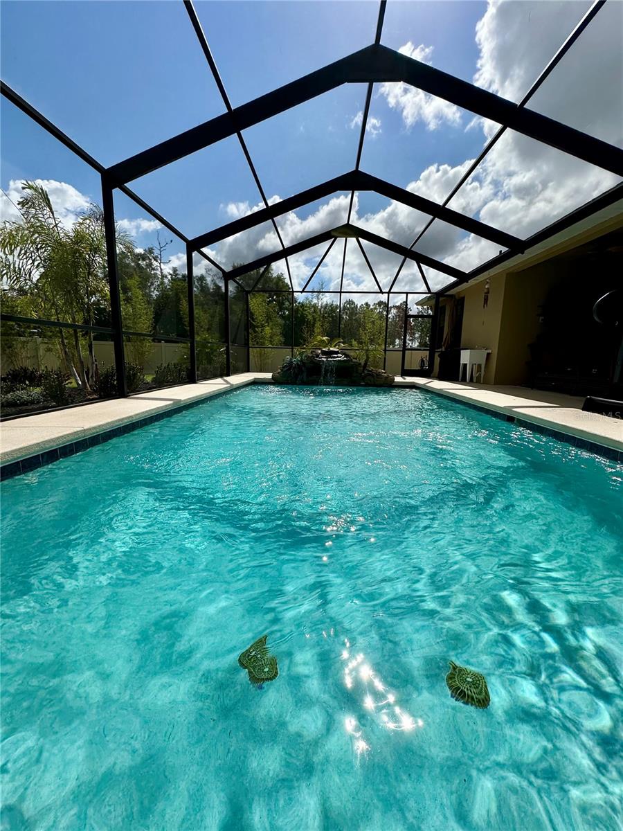 Image 32 of 47 For 1568 Cordgrass Way