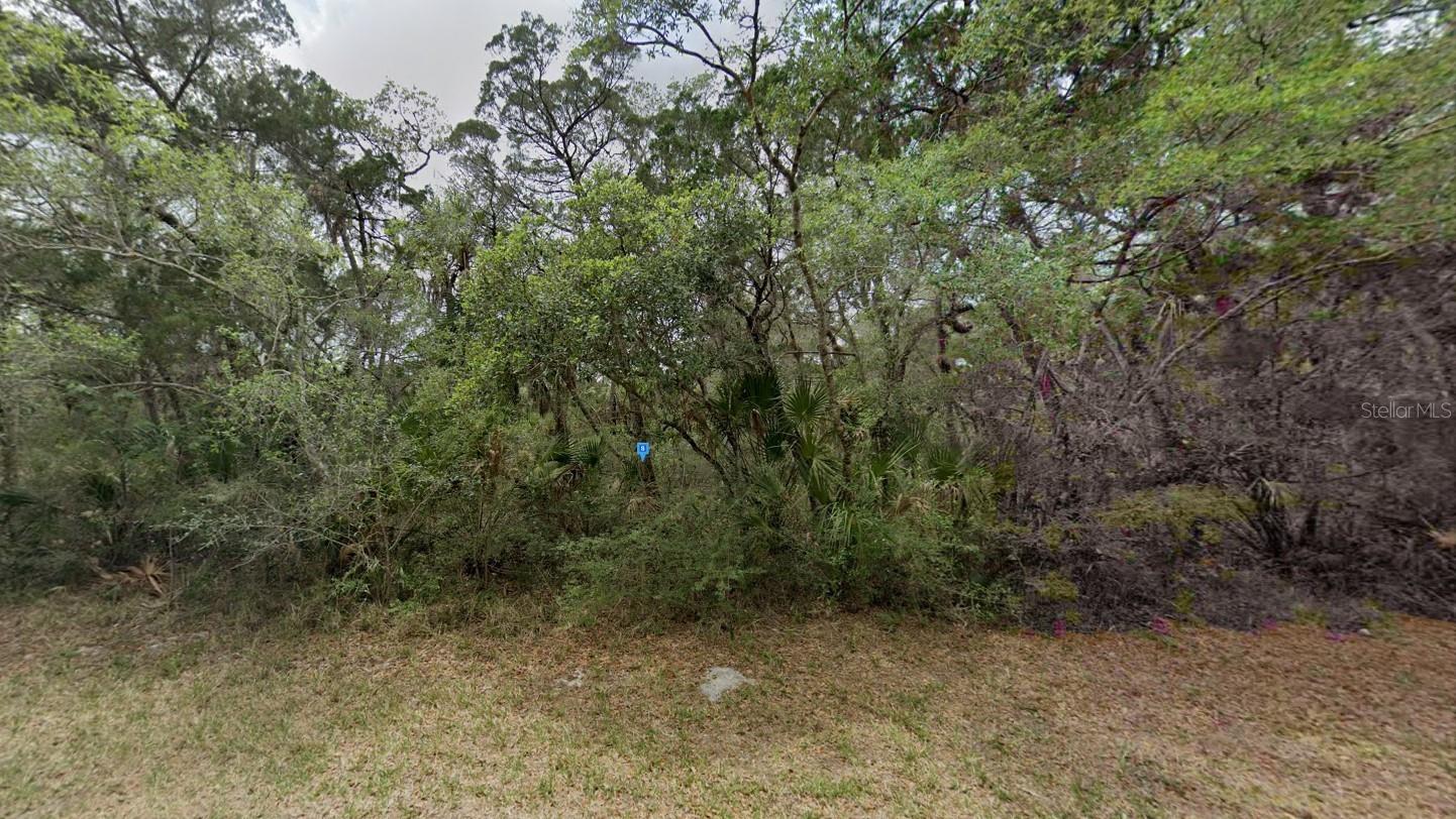 Listing photo id 0 for 6428 Westview Drive