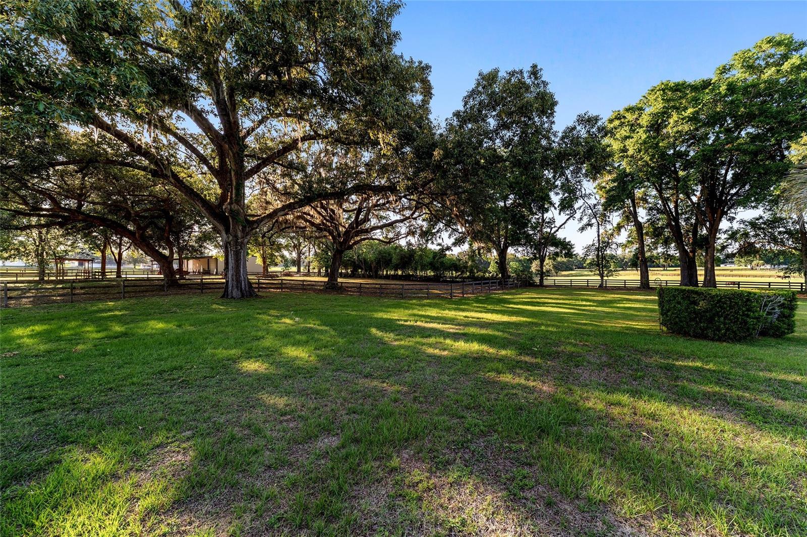 Image 49 of 62 For 2899 66 Street
