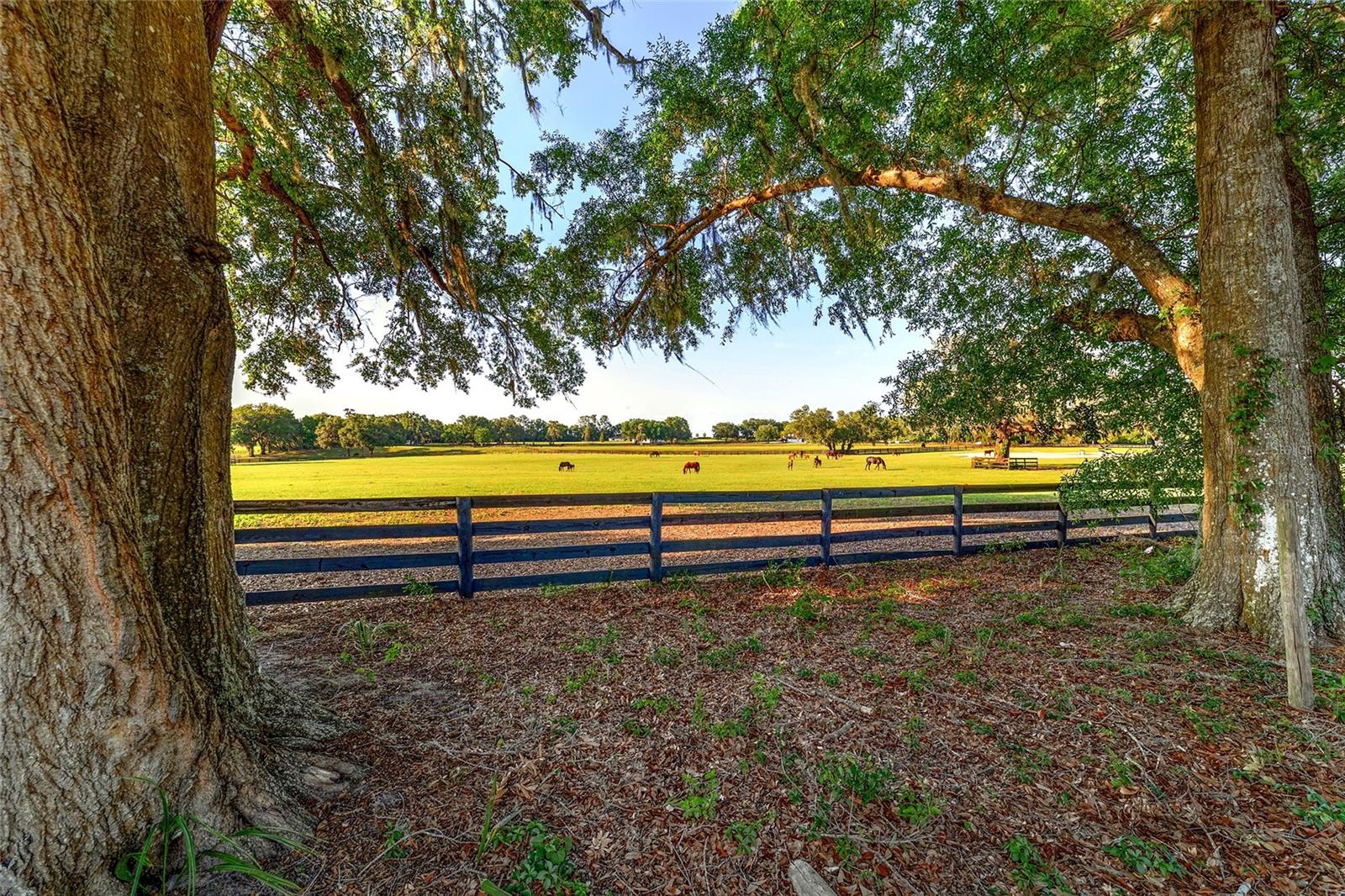 Image 5 of 62 For 2899 66 Street