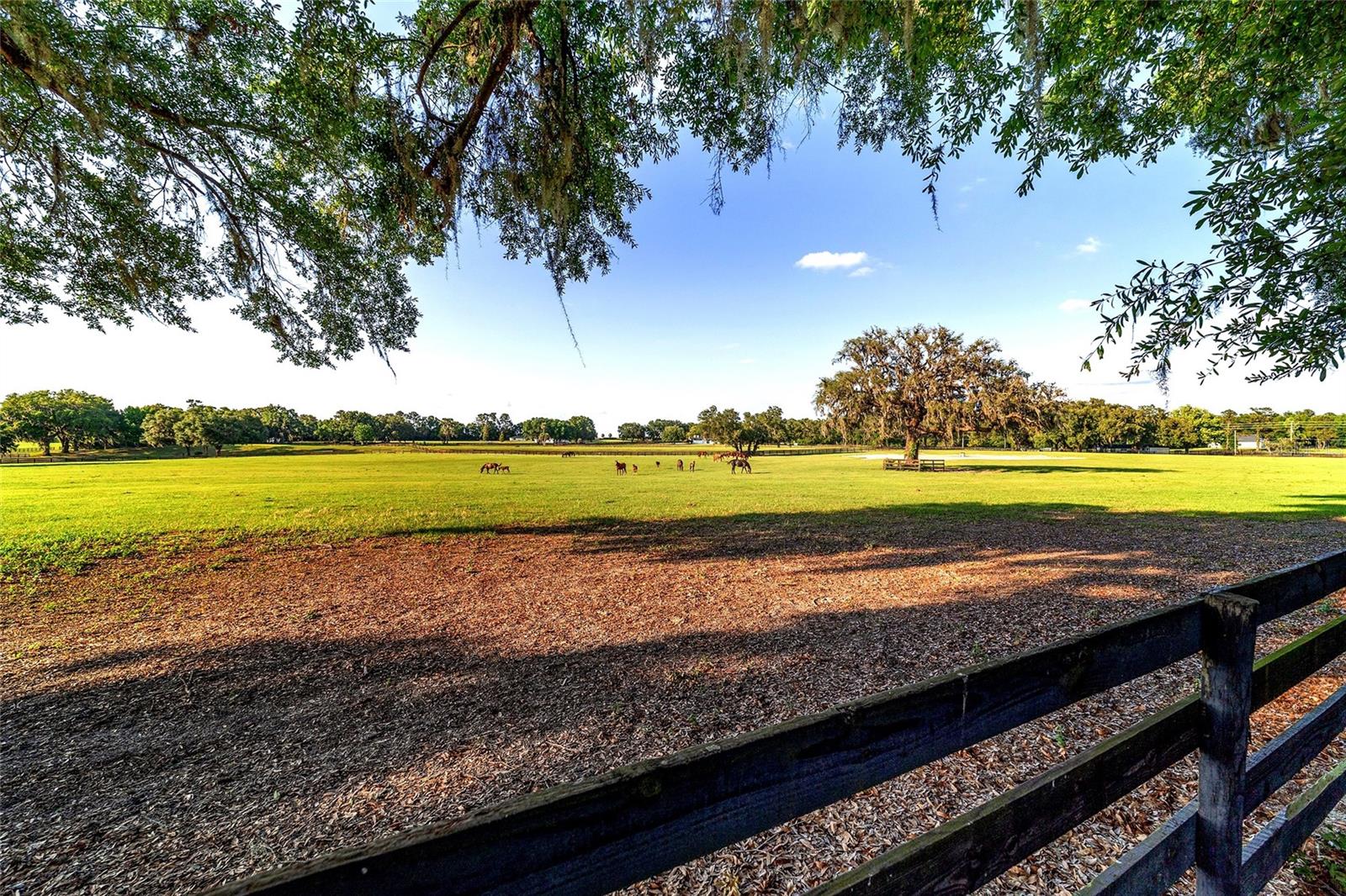 Image 6 of 62 For 2899 66 Street