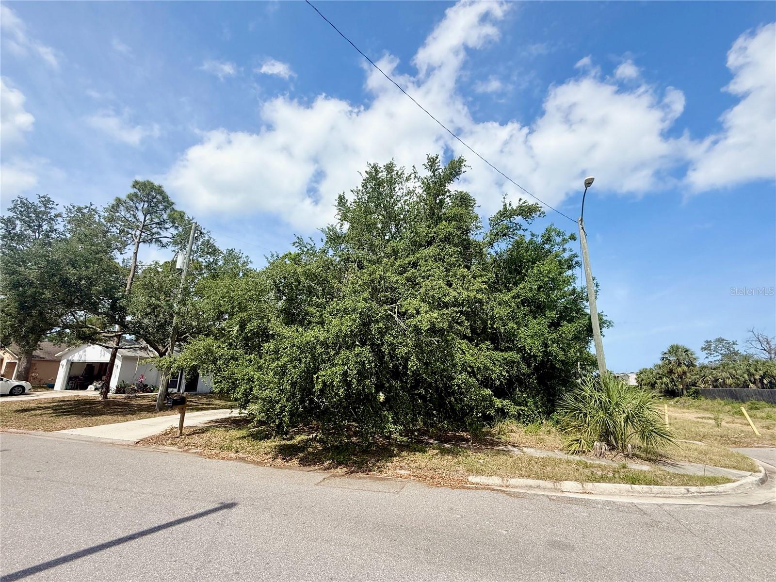 Image 3 of 9 For Vilas Avenue