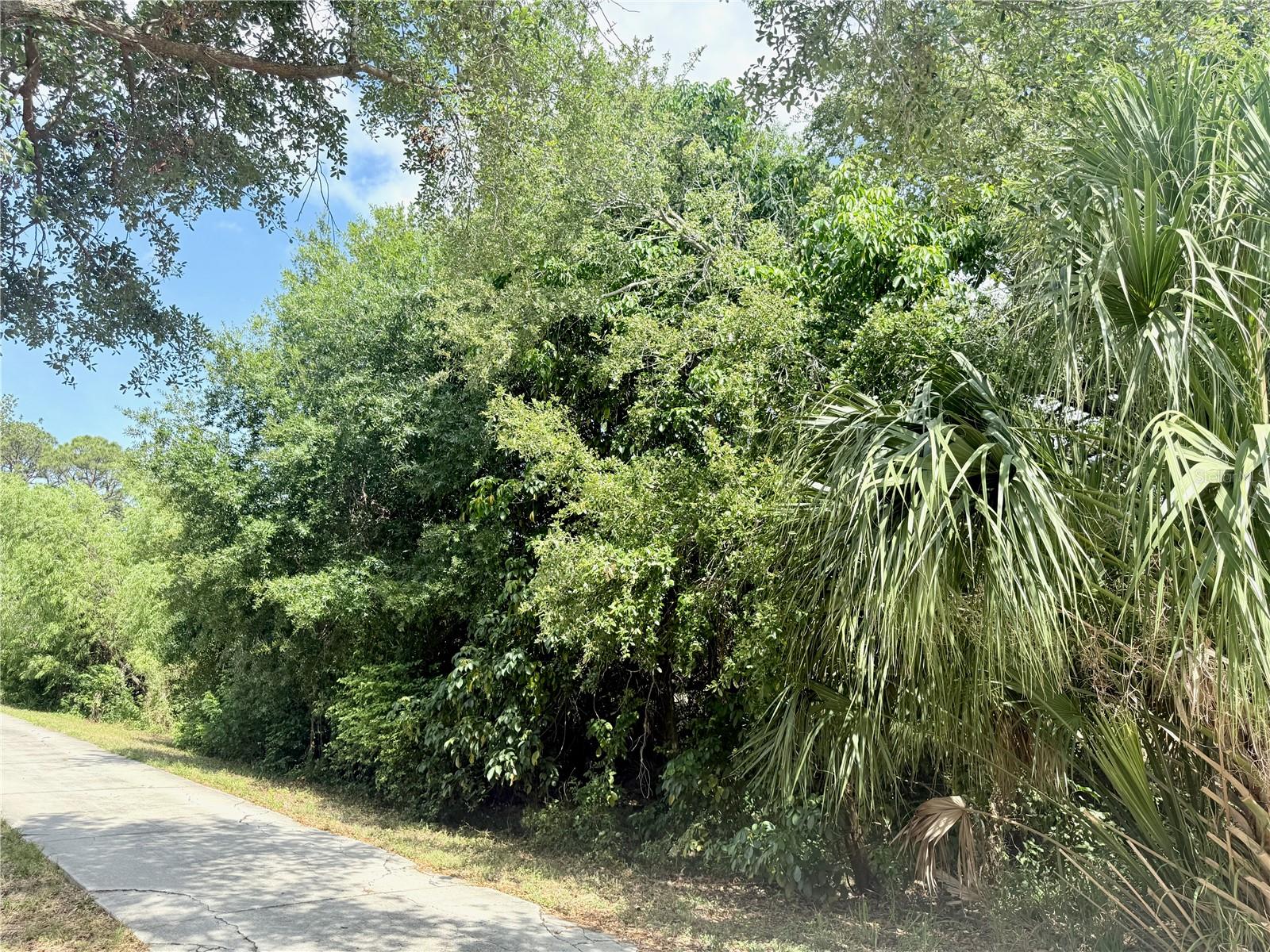 Image 5 of 9 For Vilas Avenue