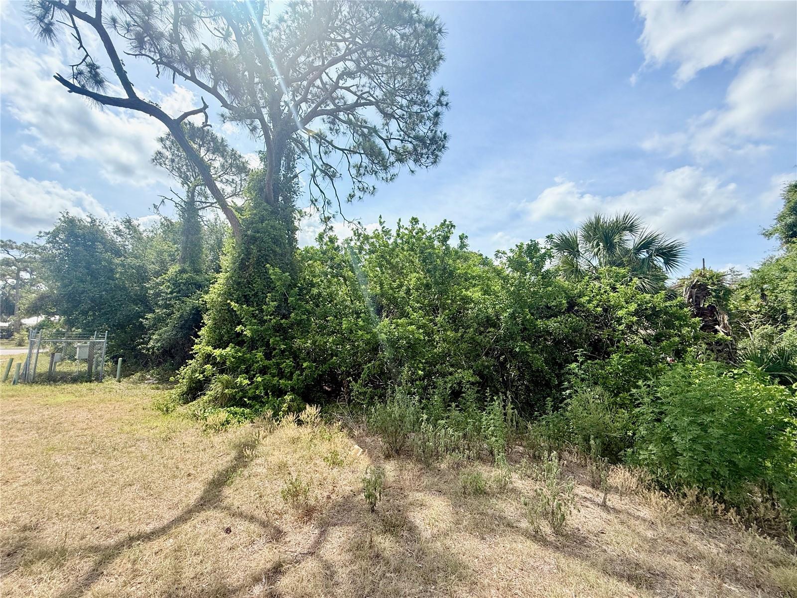 Image 6 of 9 For Vilas Avenue