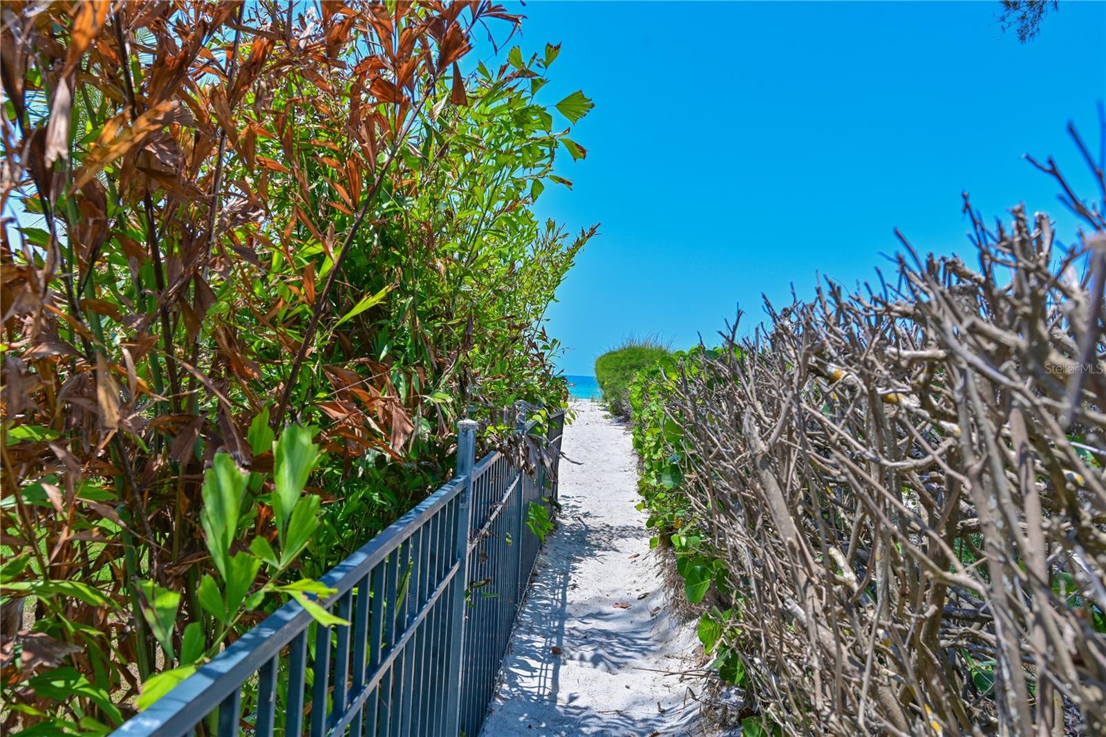 Image 34 of 46 For 5924 Gulf Of Mexico Drive