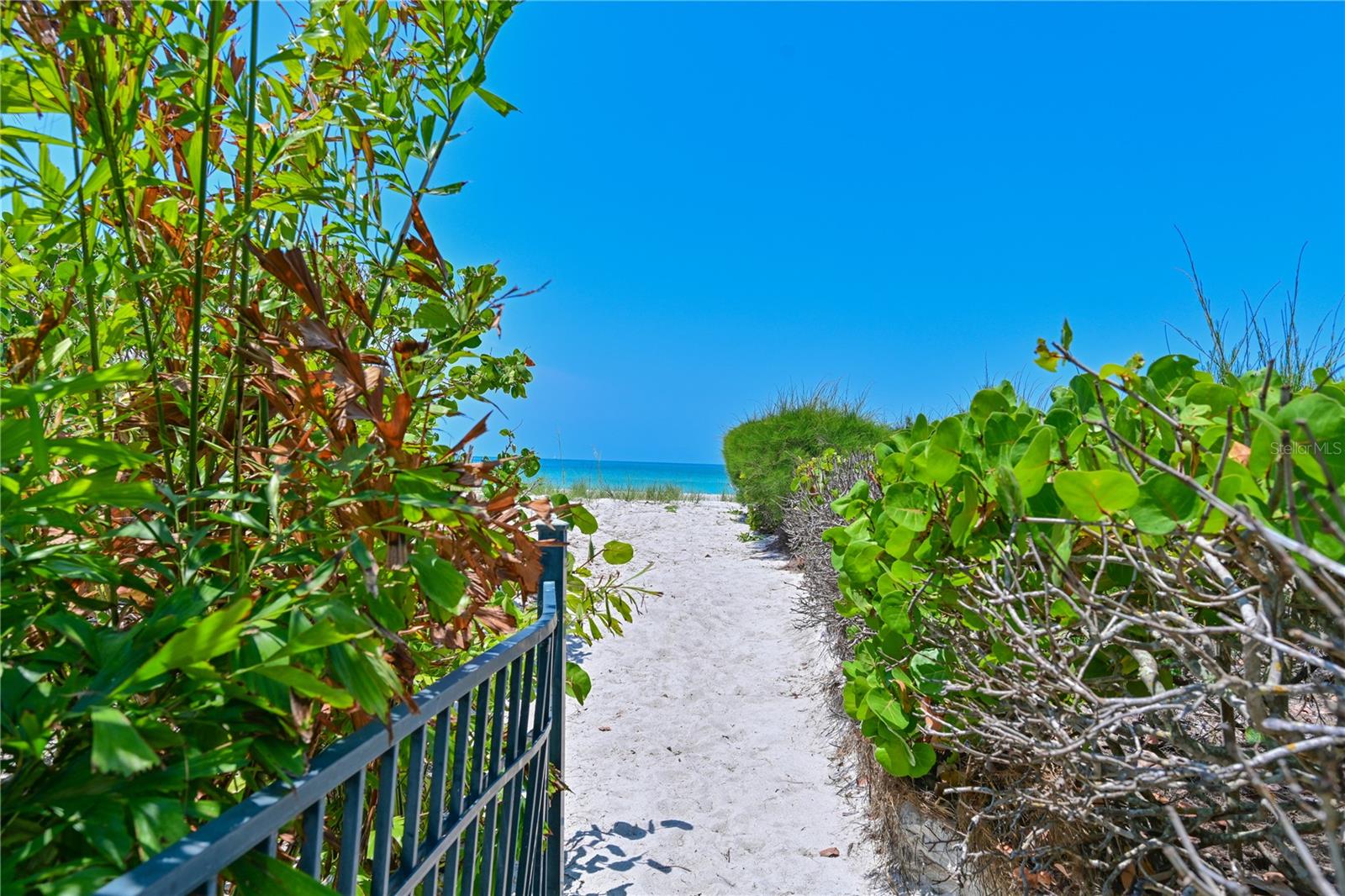 Image 35 of 46 For 5924 Gulf Of Mexico Drive