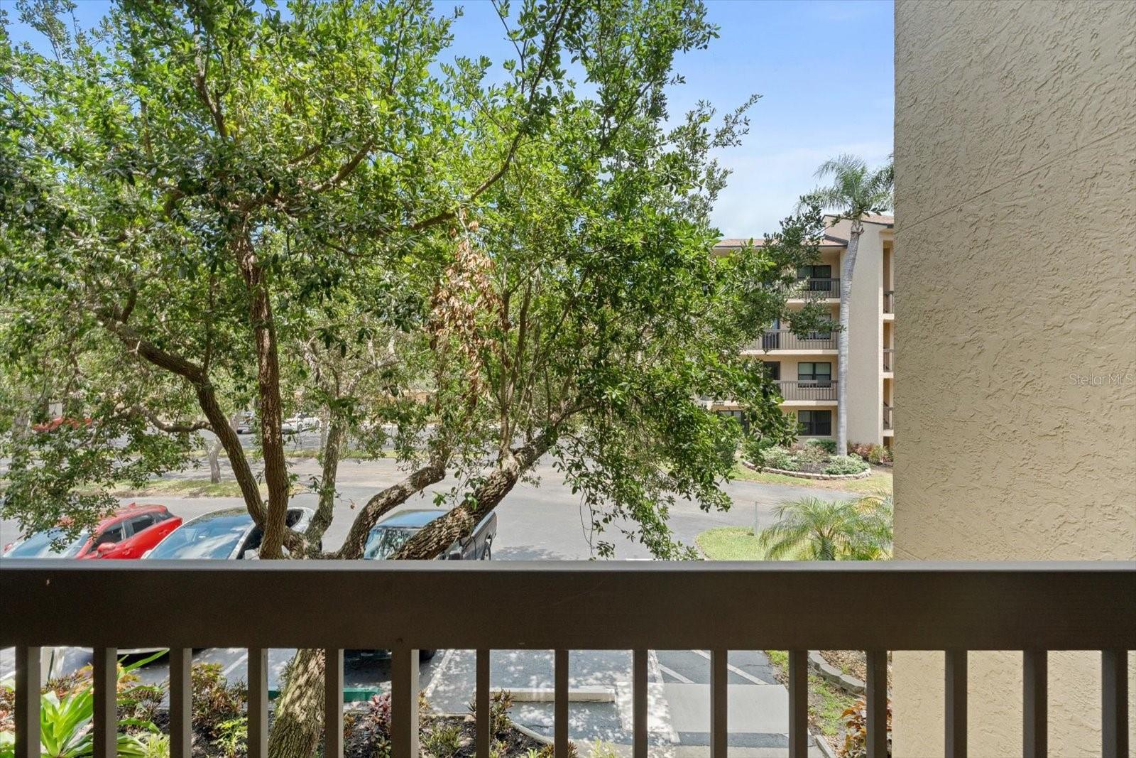 Image 4 of 20 For 515 30th Avenue W H212