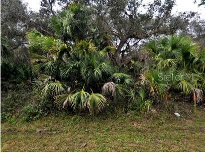 Details for Babroff Terrace, NORTH PORT, FL 34291