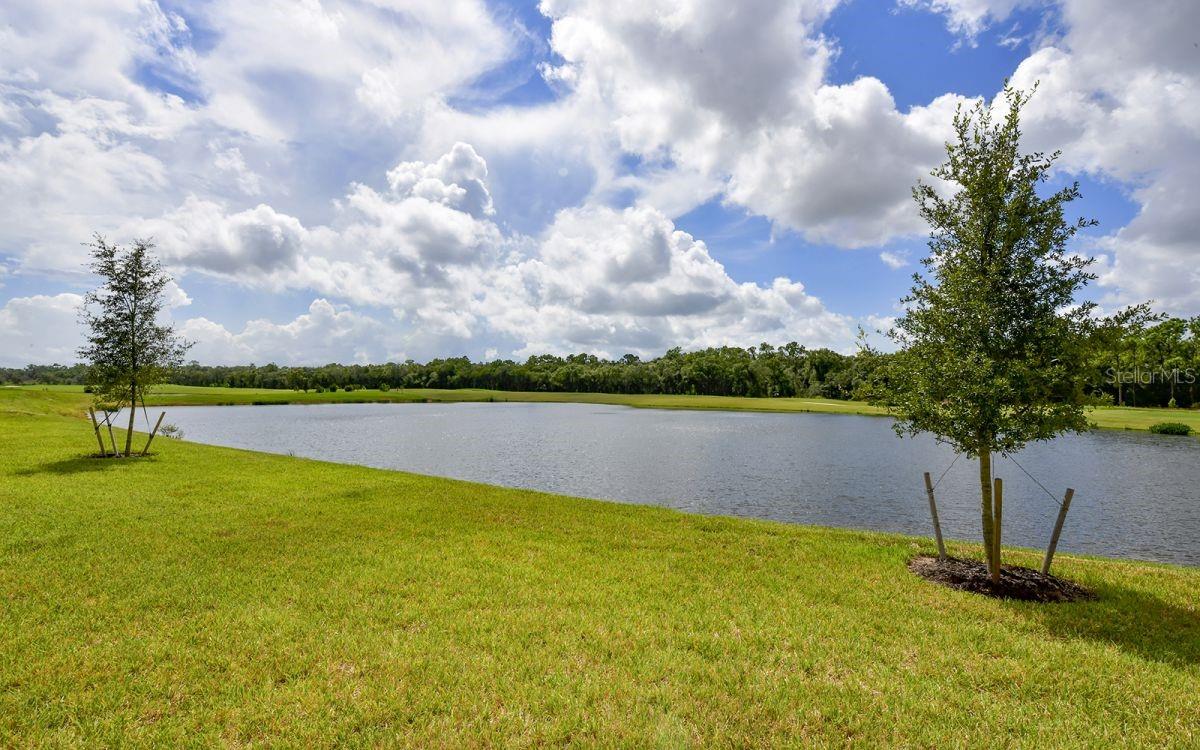 Image 33 of 72 For 17520 Gawthrop Drive 101