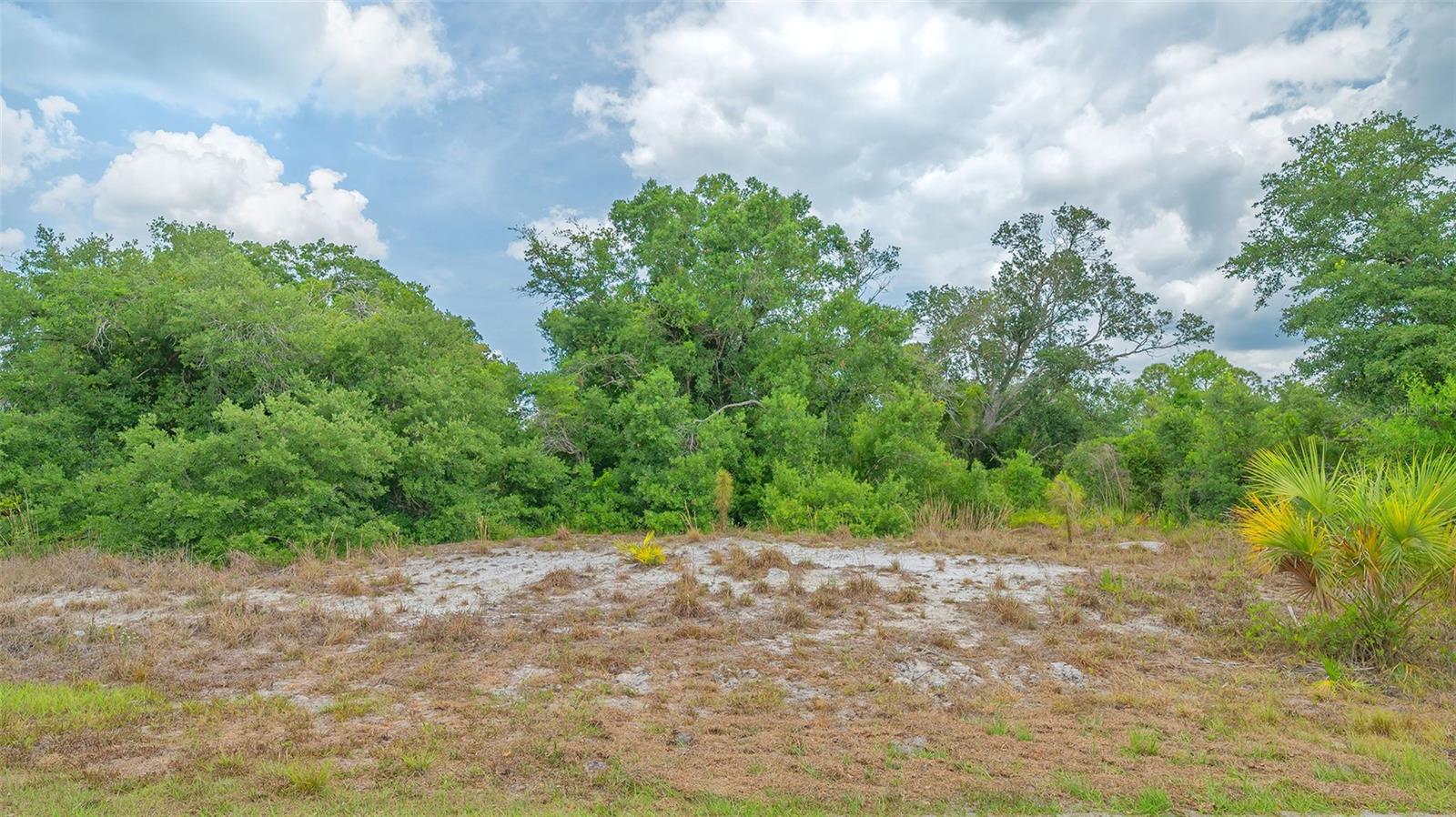 Image 10 of 24 For Levee Street