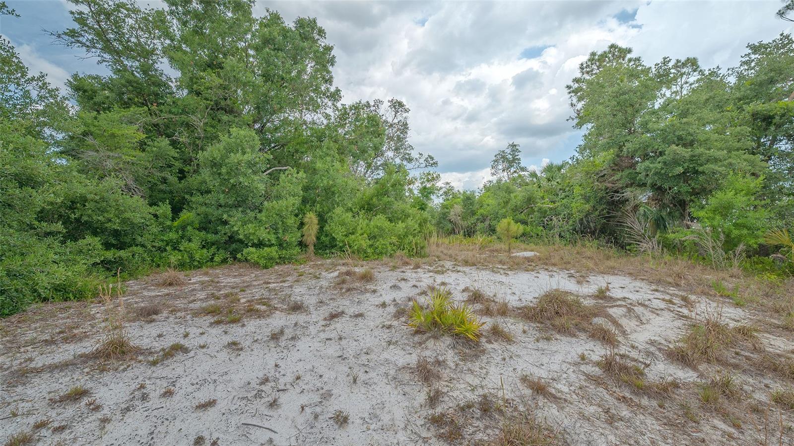 Image 11 of 24 For Levee Street