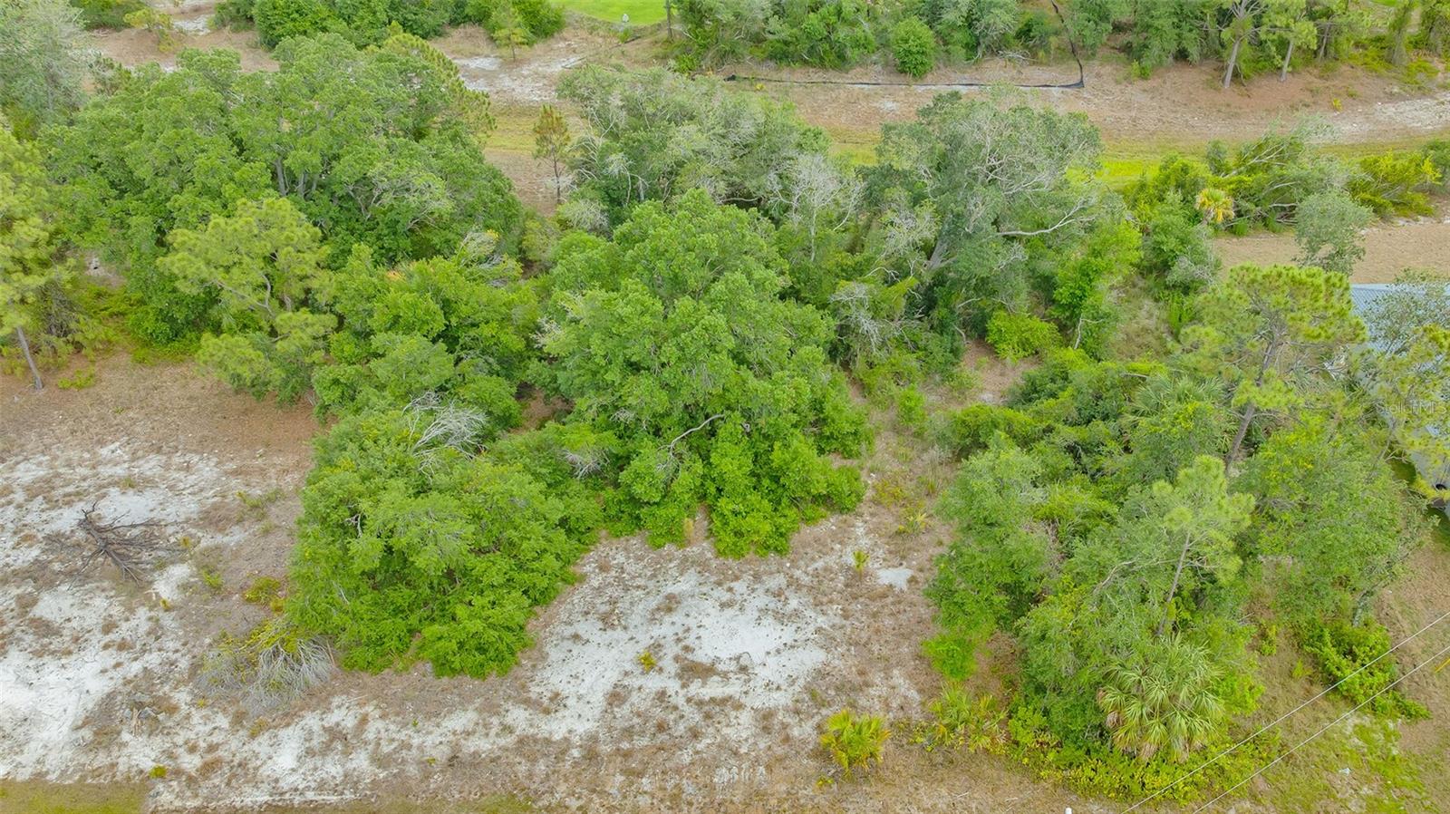 Image 8 of 24 For Levee Street