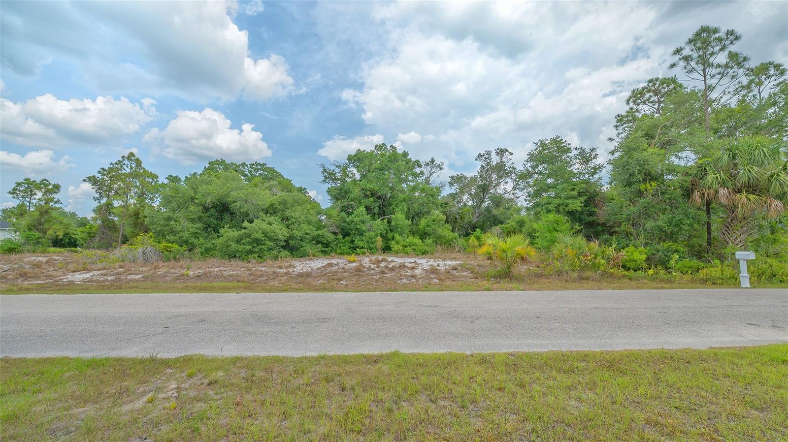 Image 9 of 24 For Levee Street
