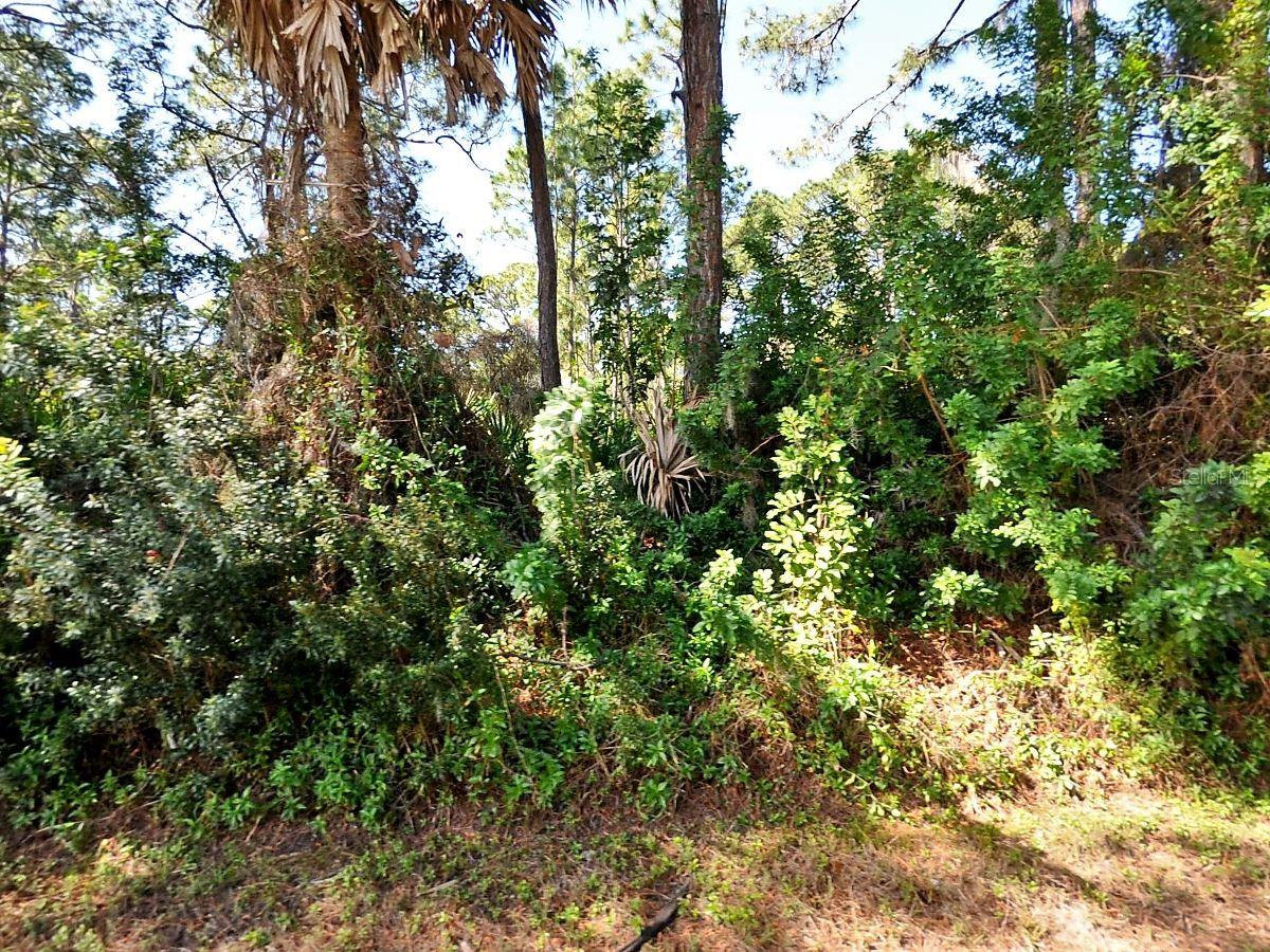 Image 4 of 4 For Solana Street