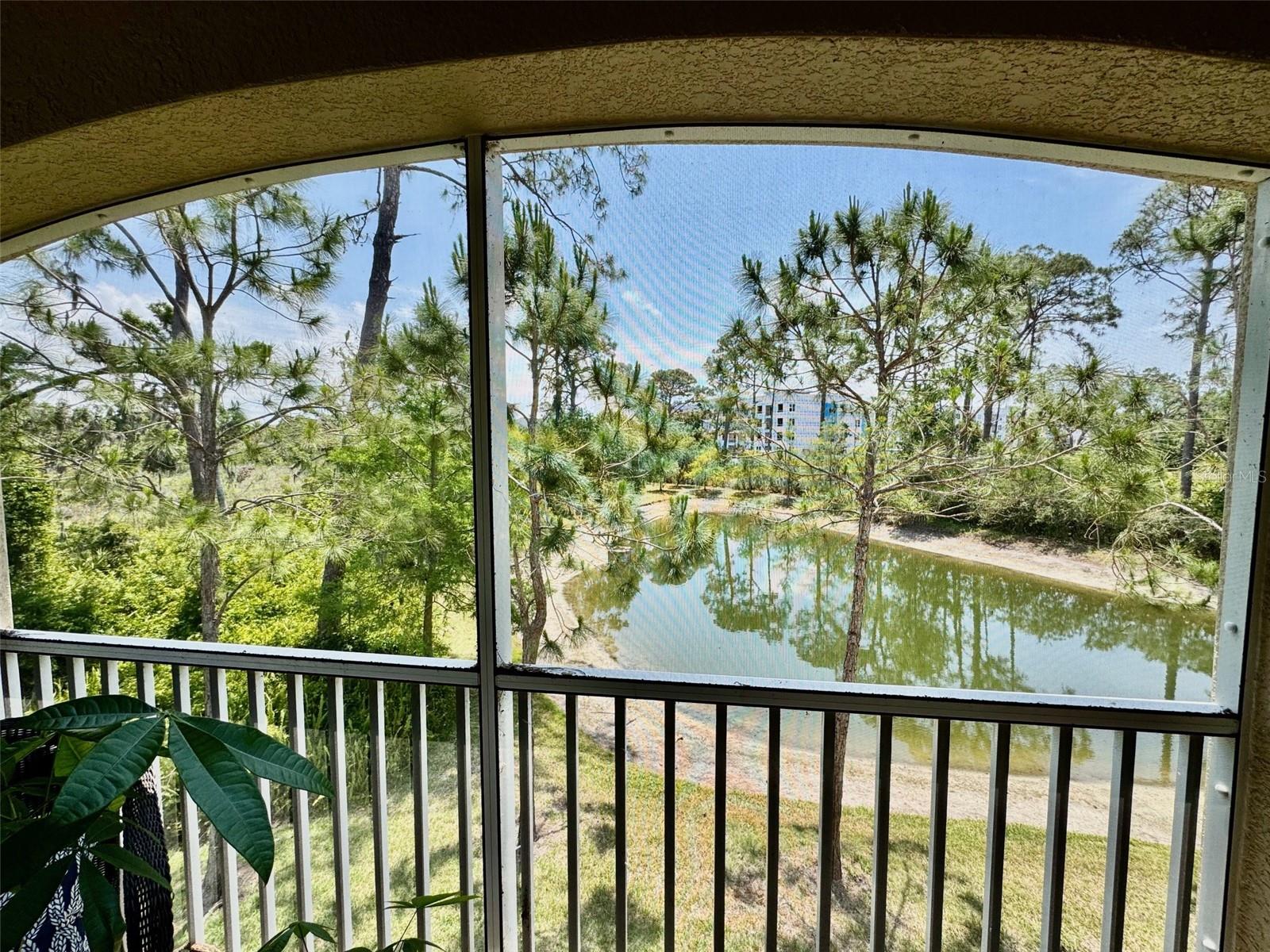 Image 17 of 29 For 3120 Oriole Drive 101