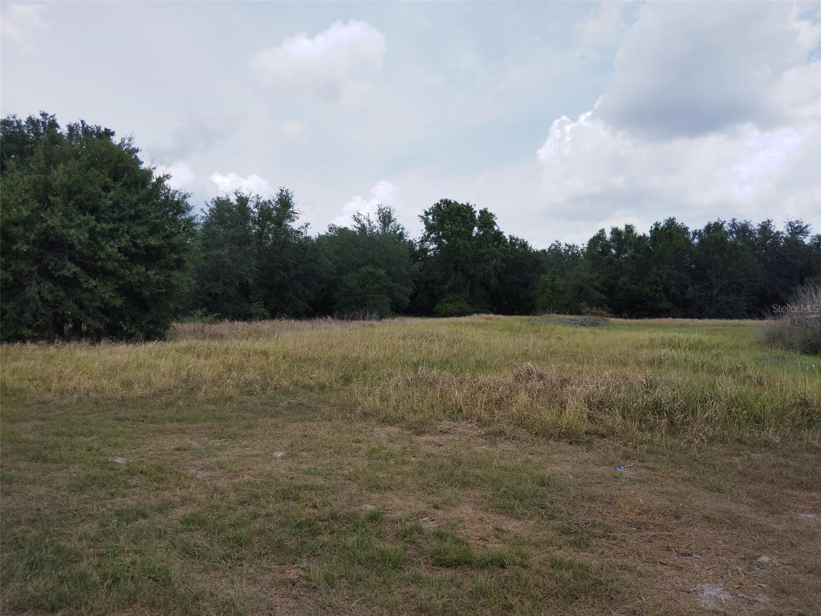 Details for 9236 Tolbert Stephens Road, ONA, FL 33865