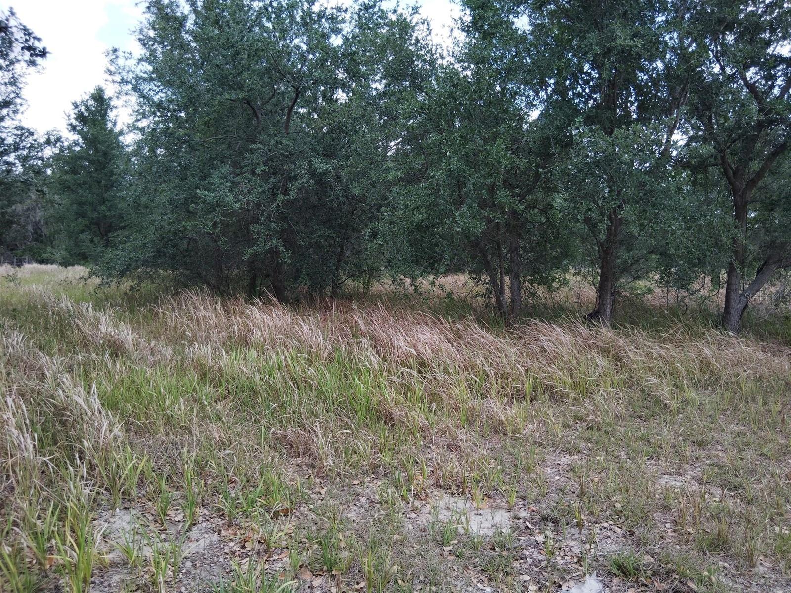 Image 2 of 5 For 9236 Tolbert Stephens Road