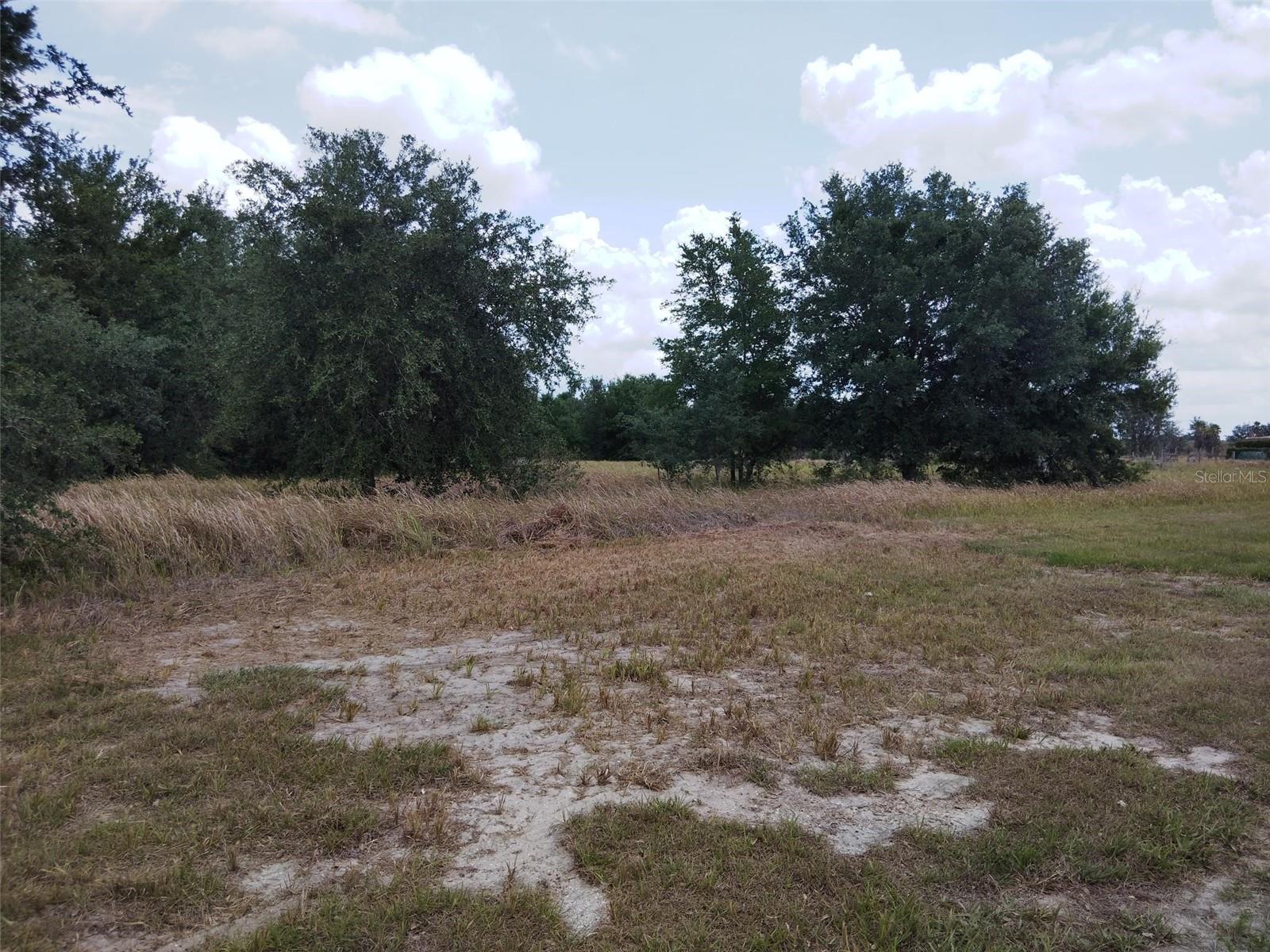 Image 3 of 5 For 9236 Tolbert Stephens Road