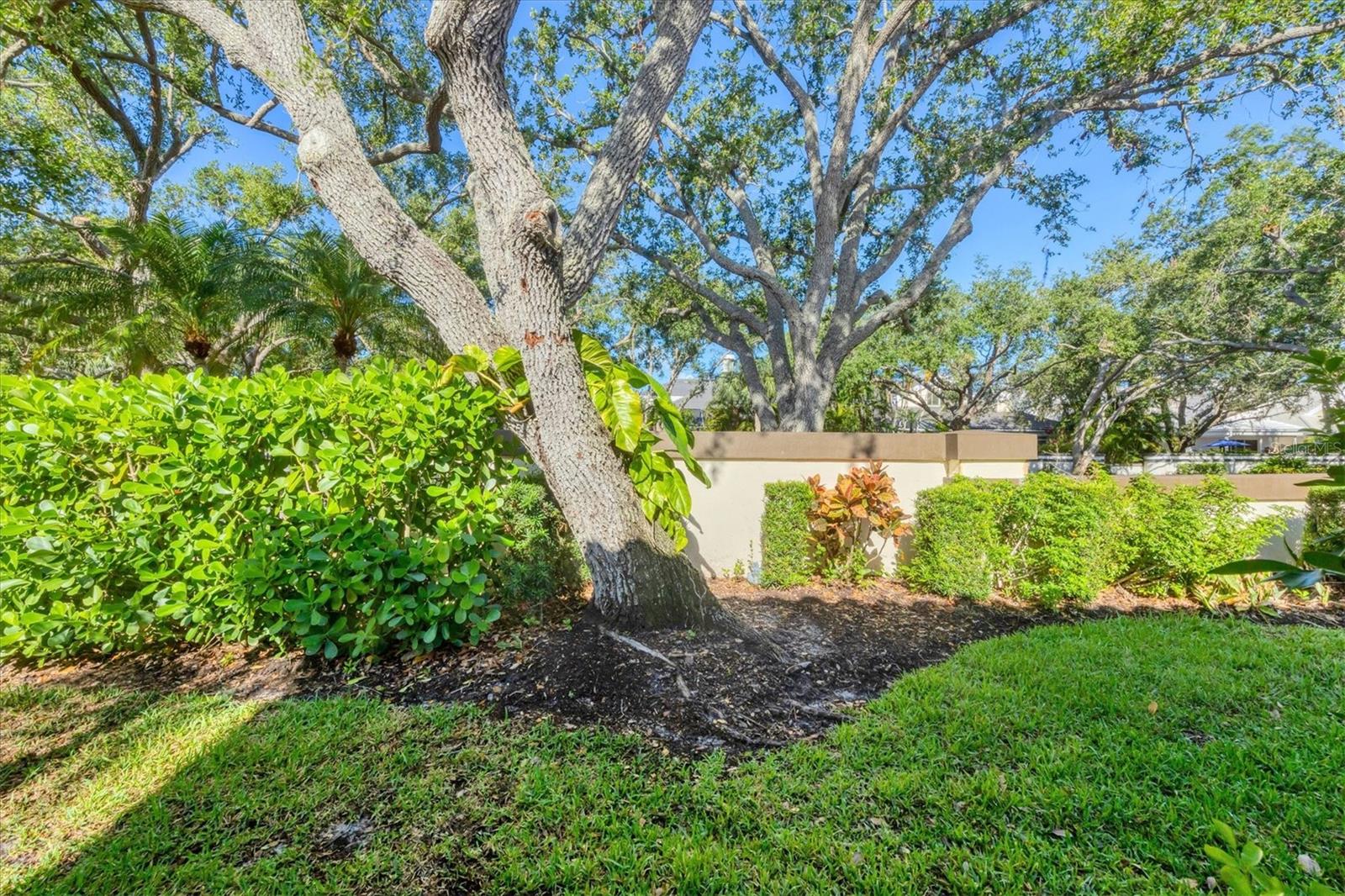 Image 28 of 57 For 4517 Las Brisas Lane