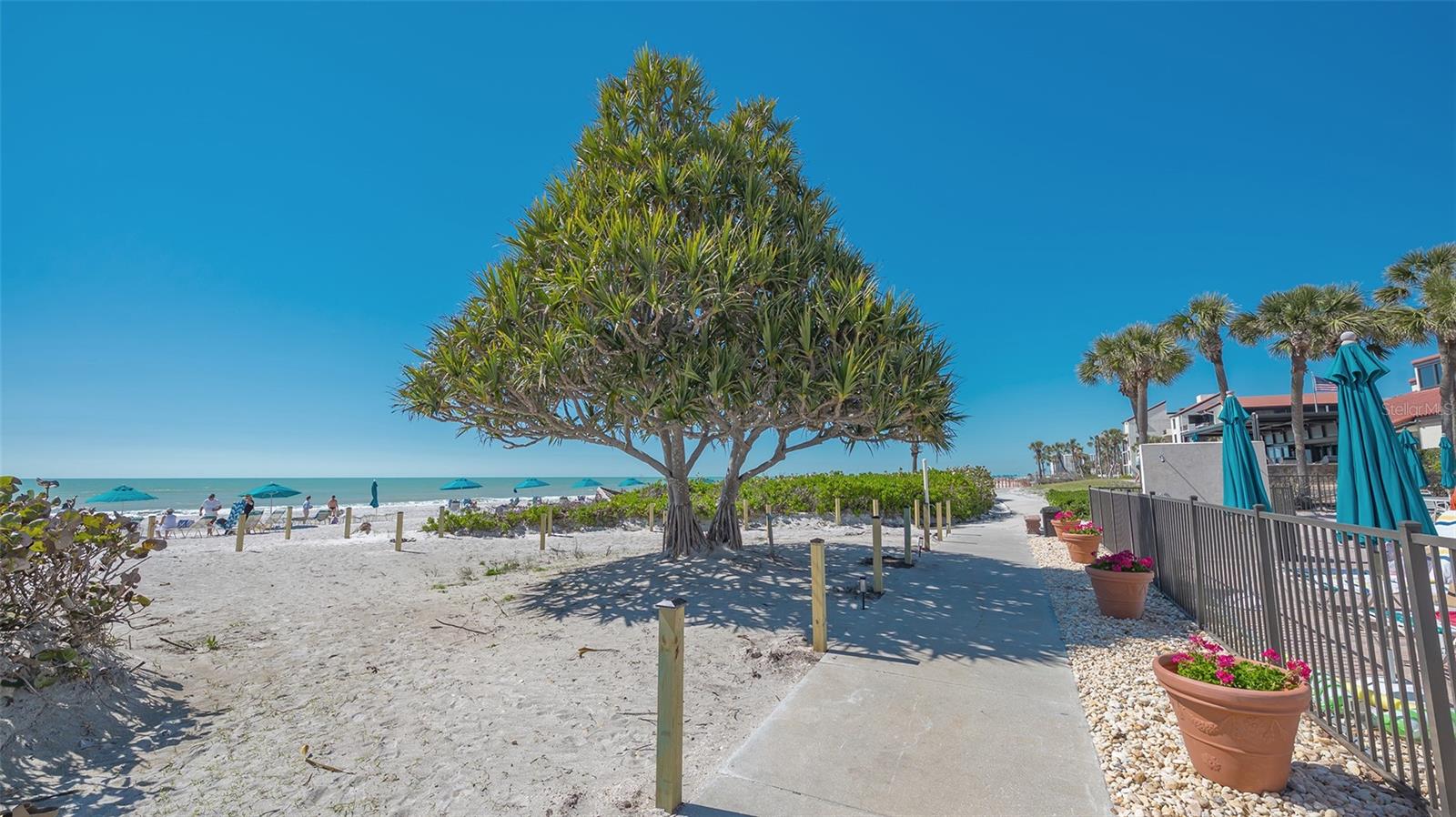 Image 39 of 53 For 2045 Gulf Of Mexico Drive M1-302