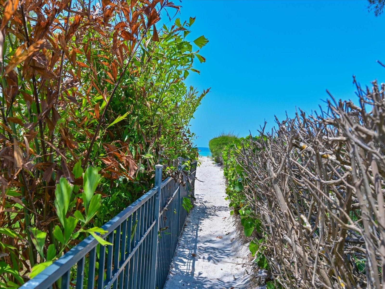 Image 41 of 57 For 5920 Gulf Of Mexico Drive