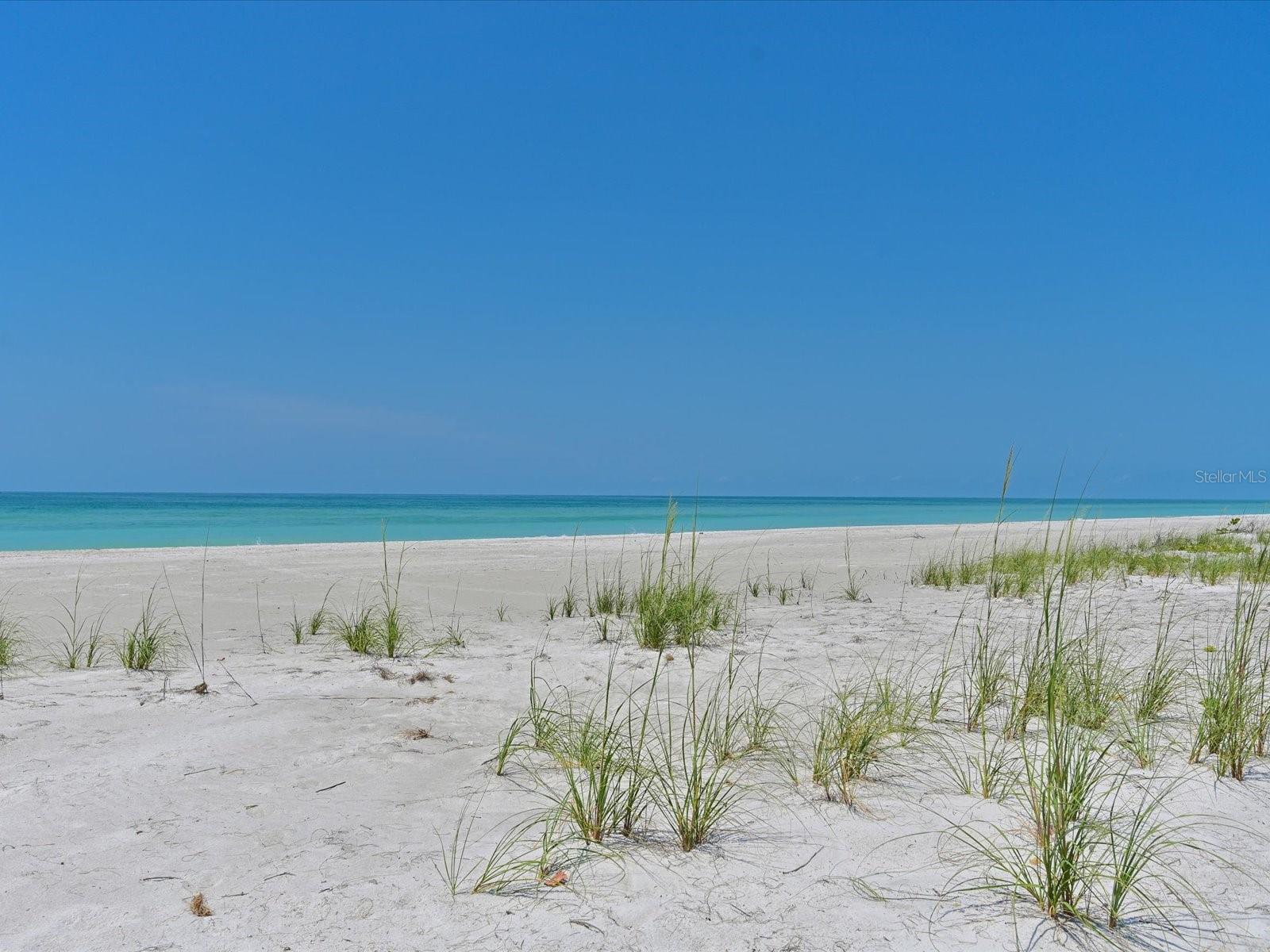 Image 44 of 57 For 5920 Gulf Of Mexico Drive