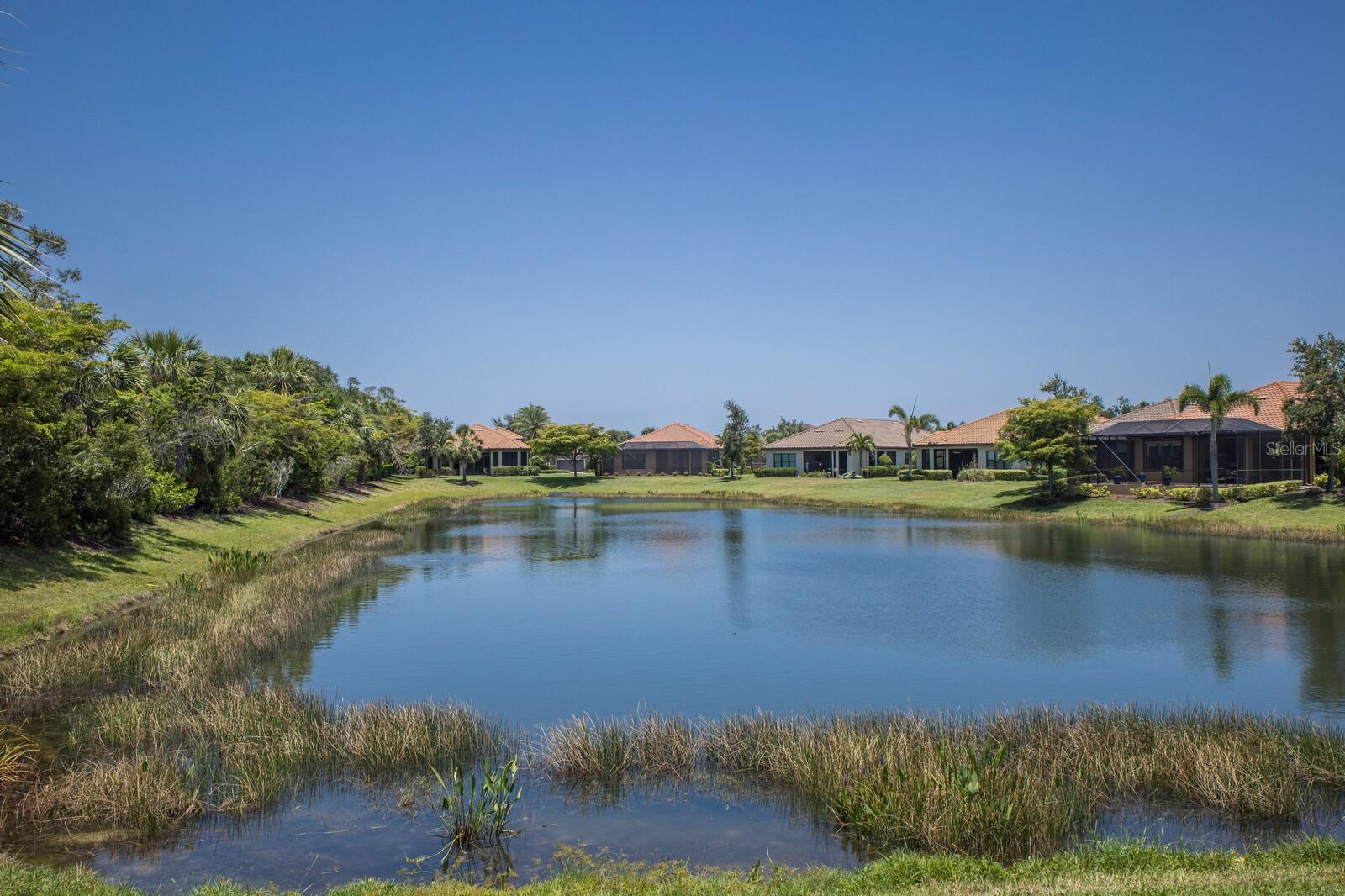 Image 4 of 54 For 8191 Gabanna Drive