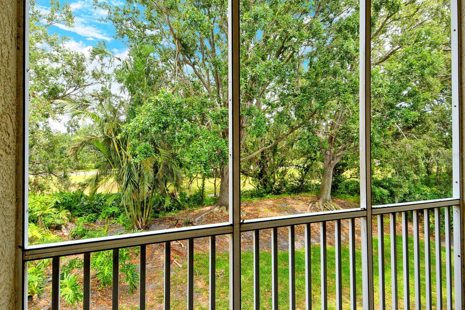 Image 12 of 60 For 8315 Glenrose Way 1421