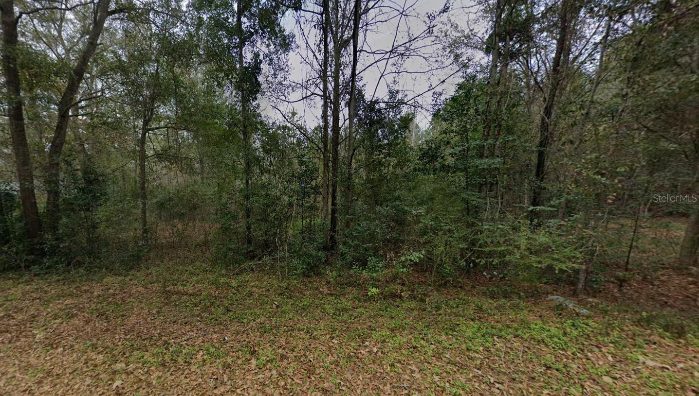 Image 2 of 7 For 653 Frances Drive
