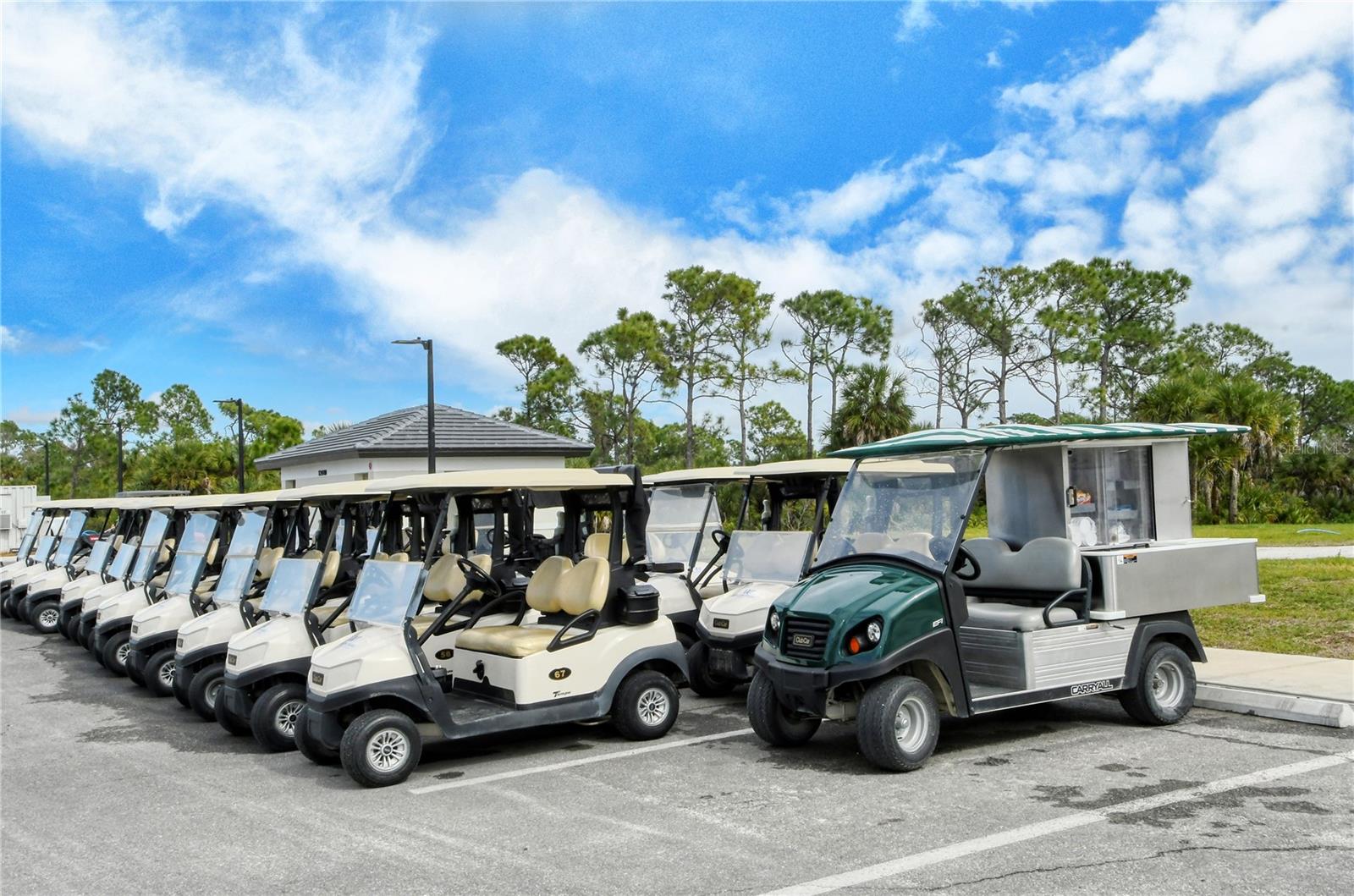 Image 37 of 94 For 12180 Wellen Golf Street 405