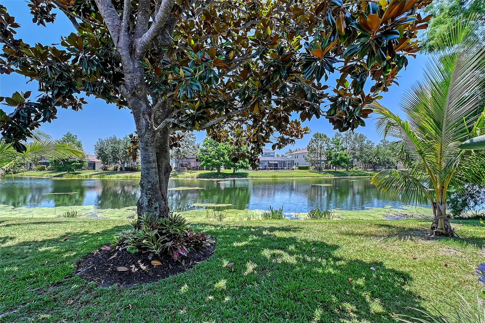 Image 37 of 41 For 6539 Flycatcher Lane