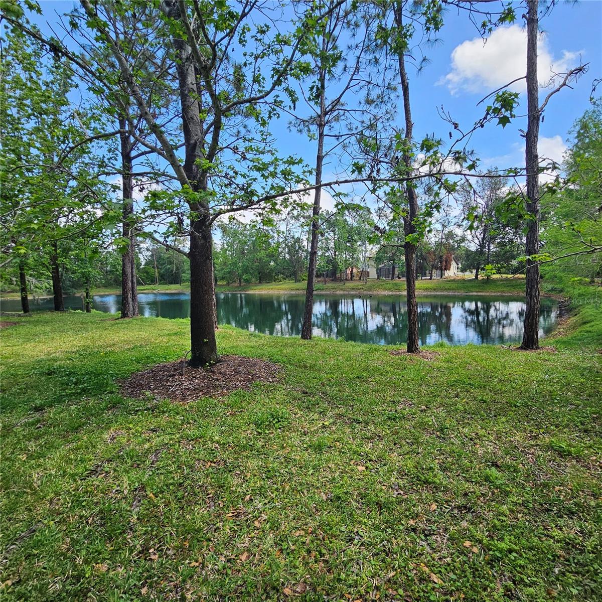 Image 18 of 55 For 8110 Villa Grande Court