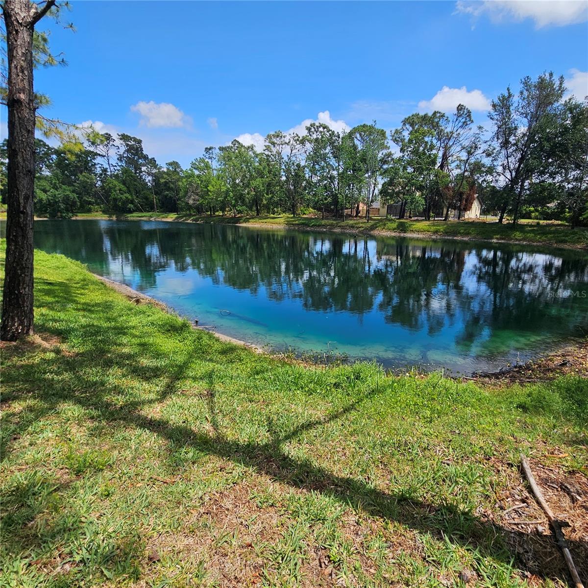 Image 19 of 55 For 8110 Villa Grande Court